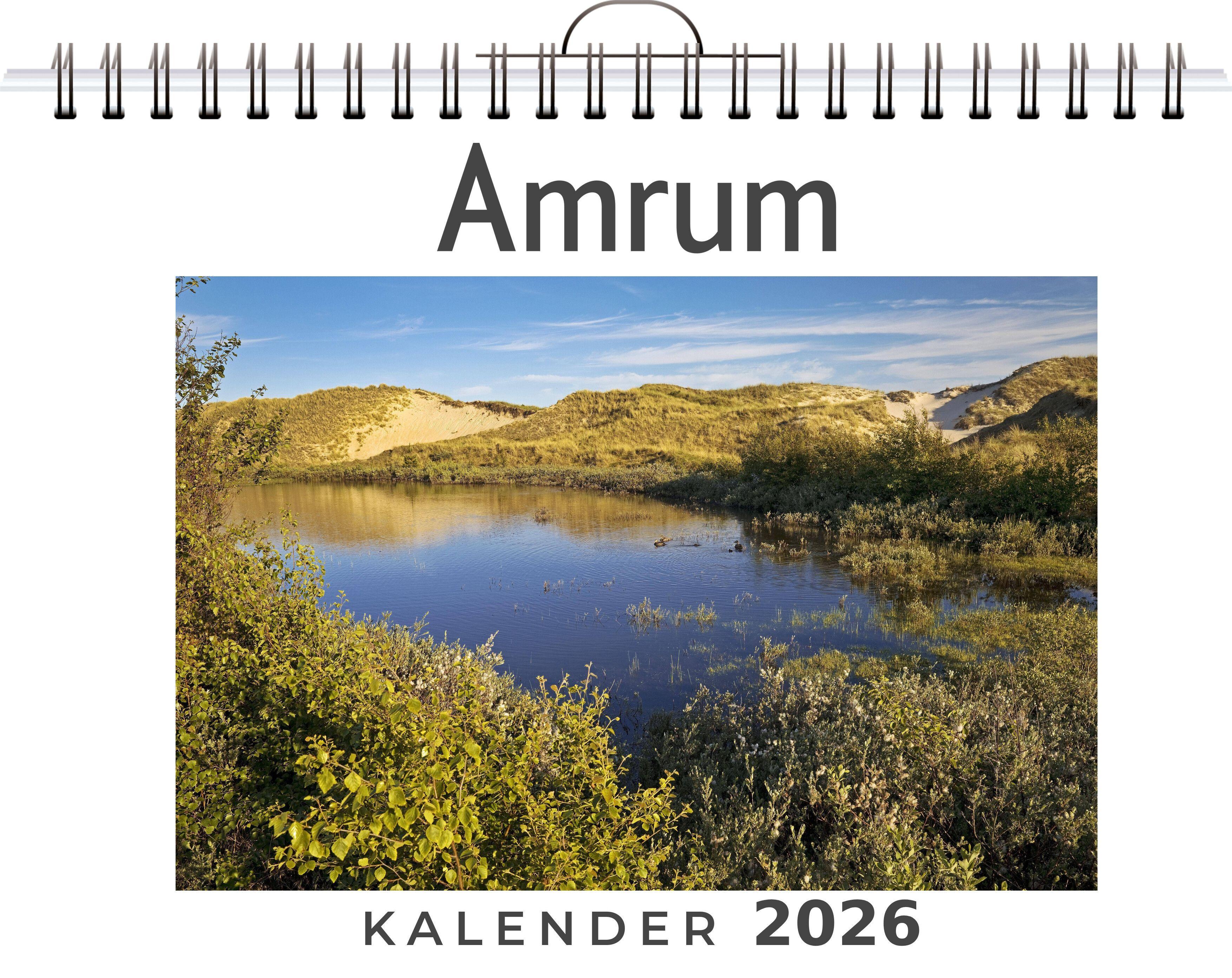 Vorderes Coverbild Amrum