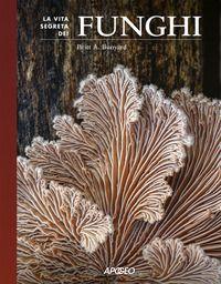 Vorderes Coverbild La vita segreta dei funghi