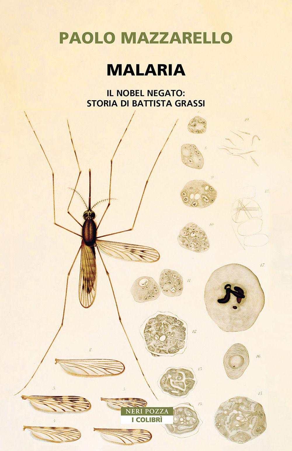 Vorderes Coverbild Malaria. Il Nobel negato: storia di Battista Grassi