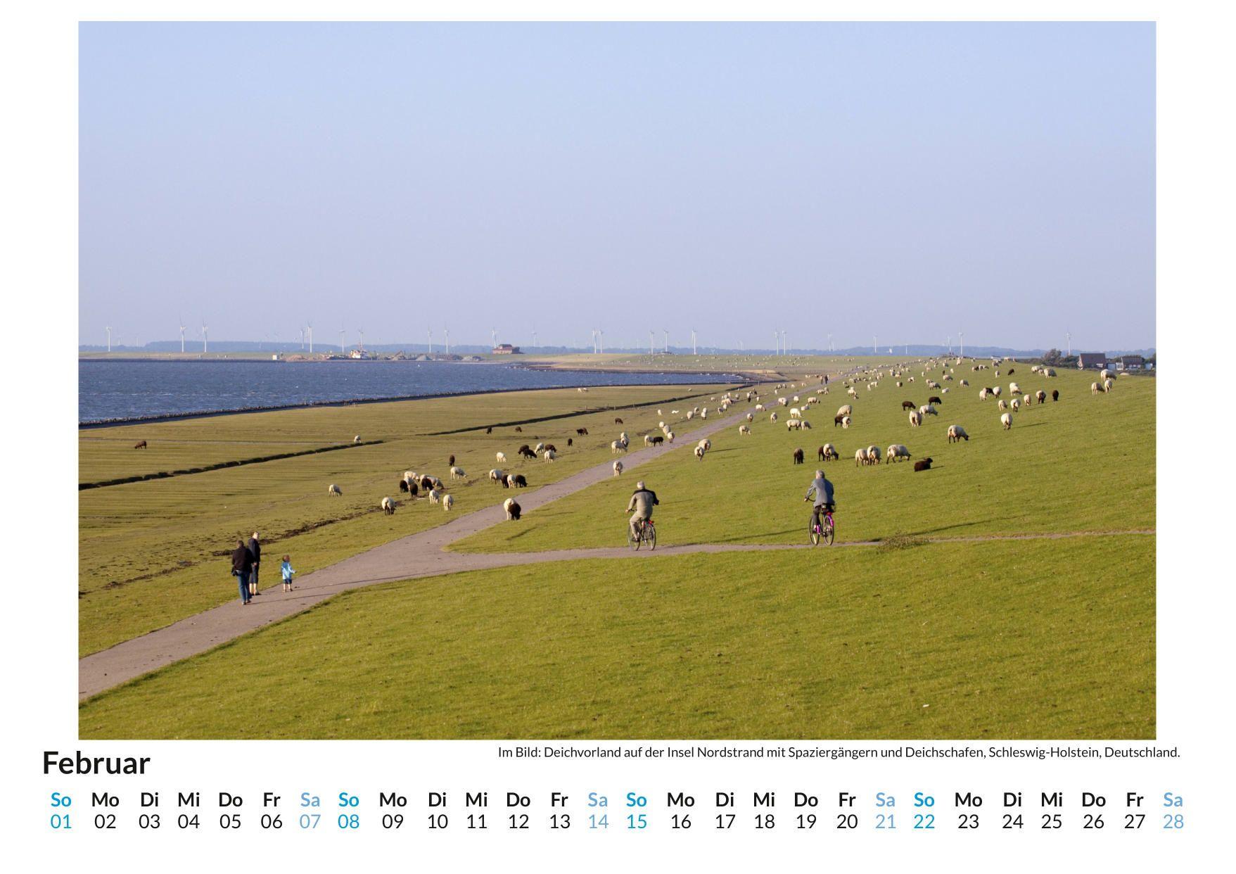 Beispielinhalt (Bild) Nordstrand