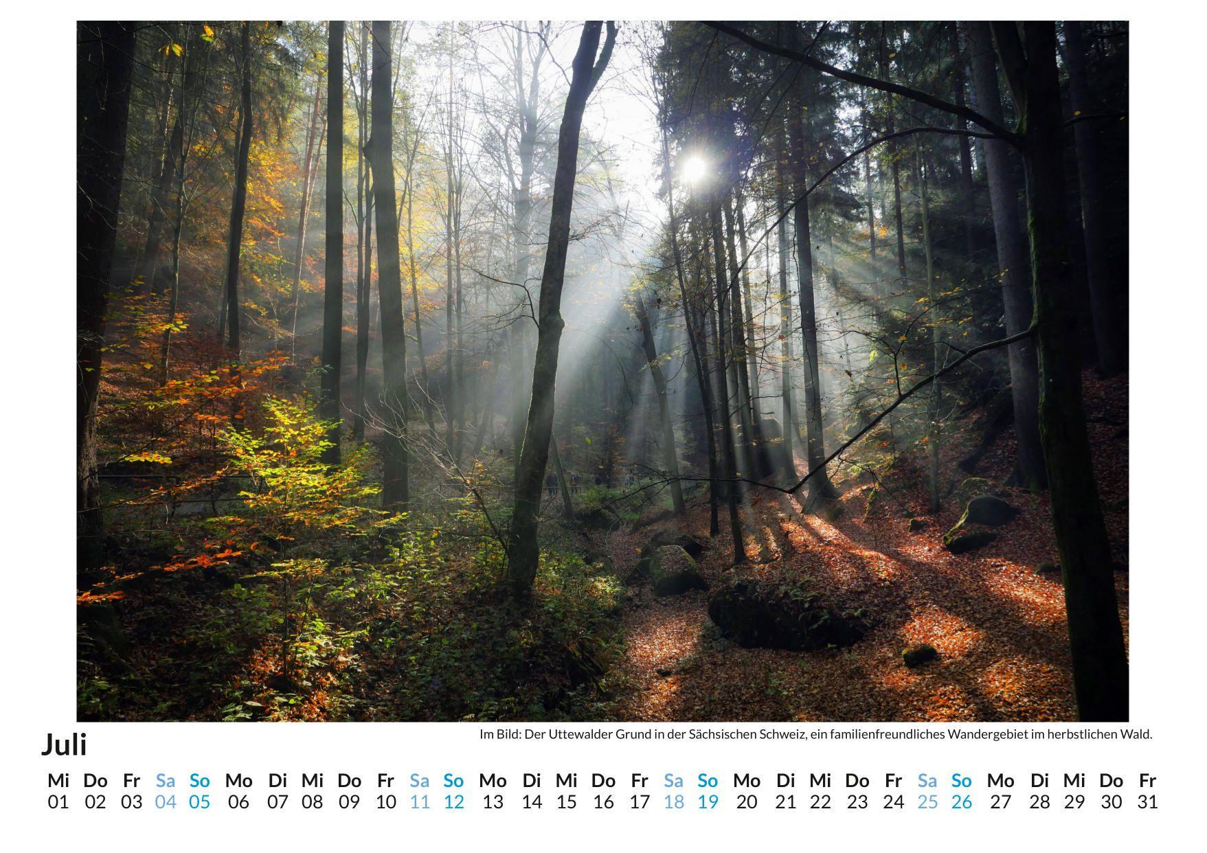 Beispielinhalt (Bild) Sächsische Schweiz