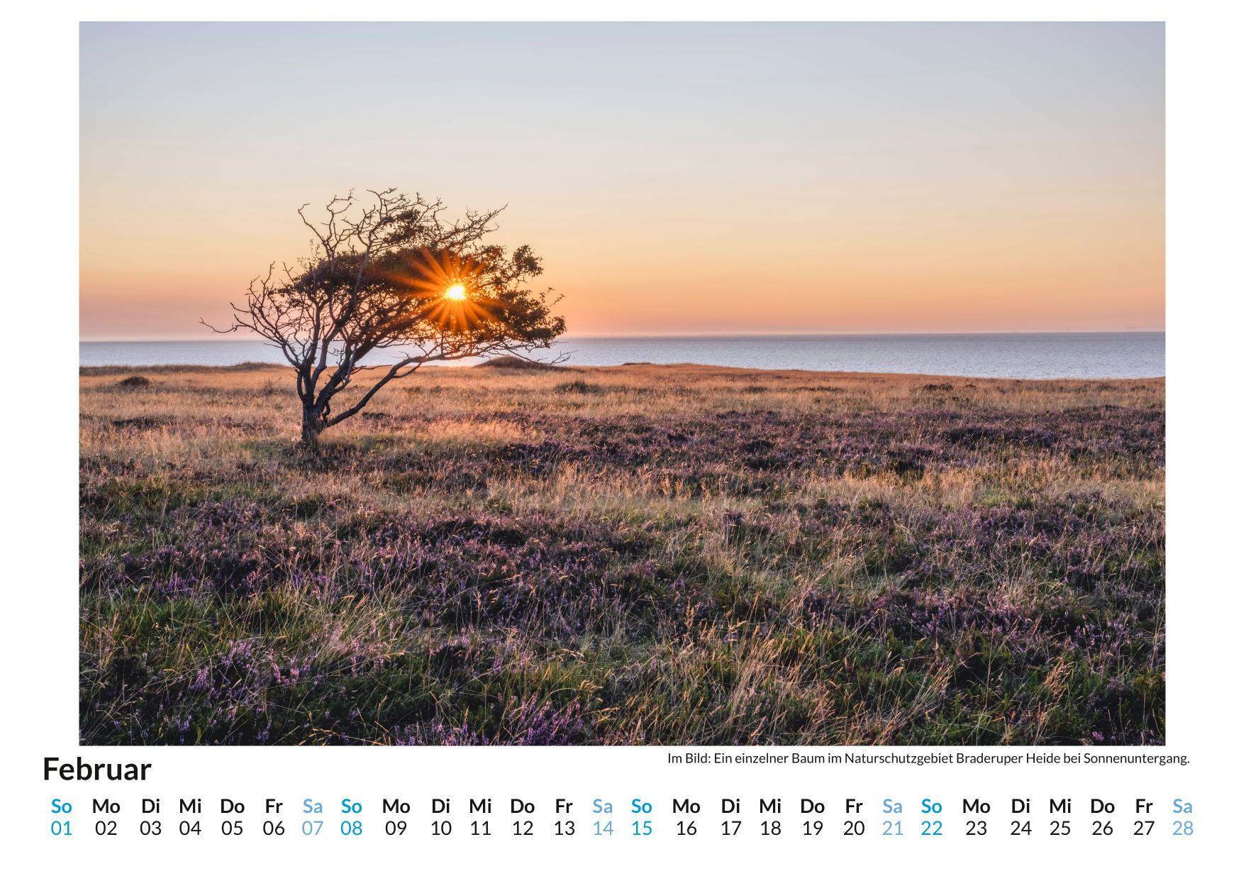 Beispielinhalt (Bild) Sylt