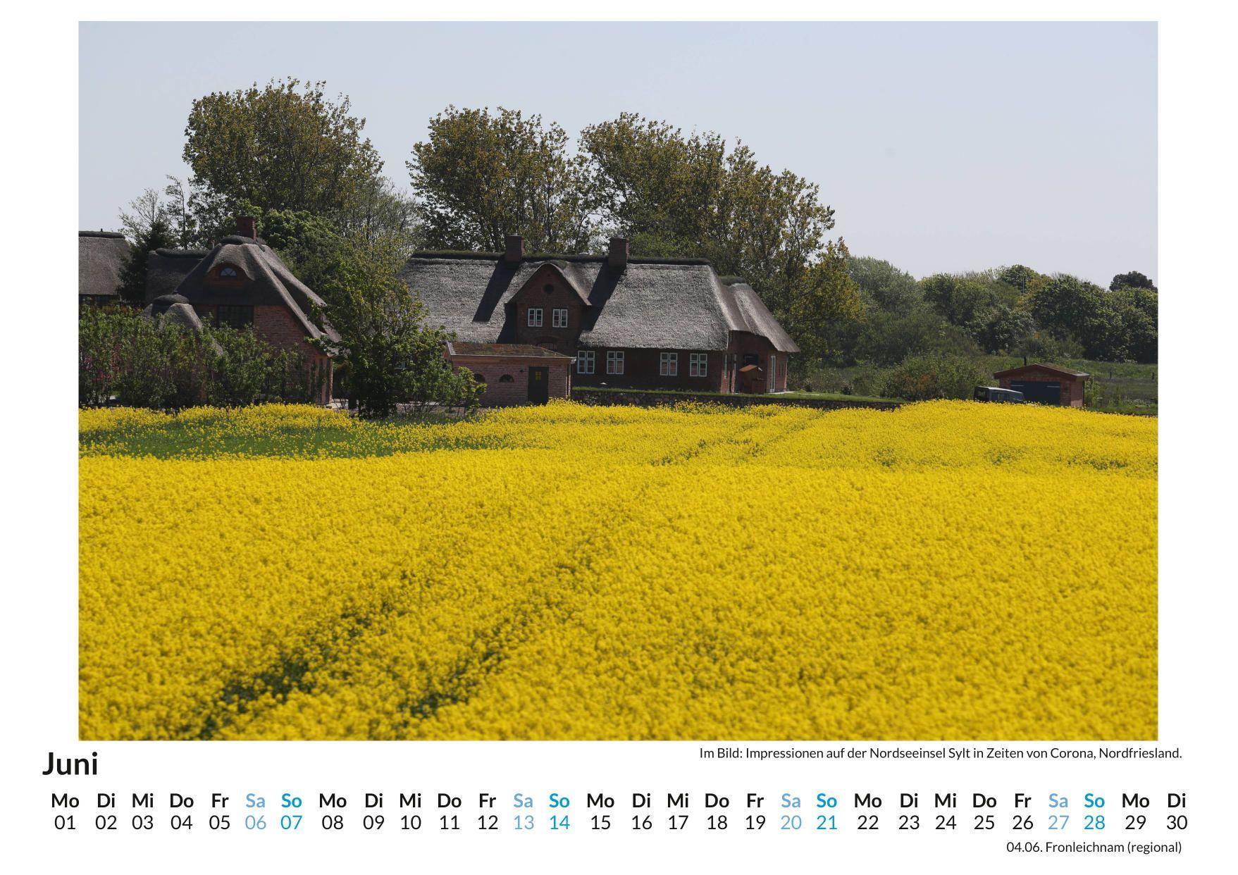 Beispielinhalt (Bild) Sylt