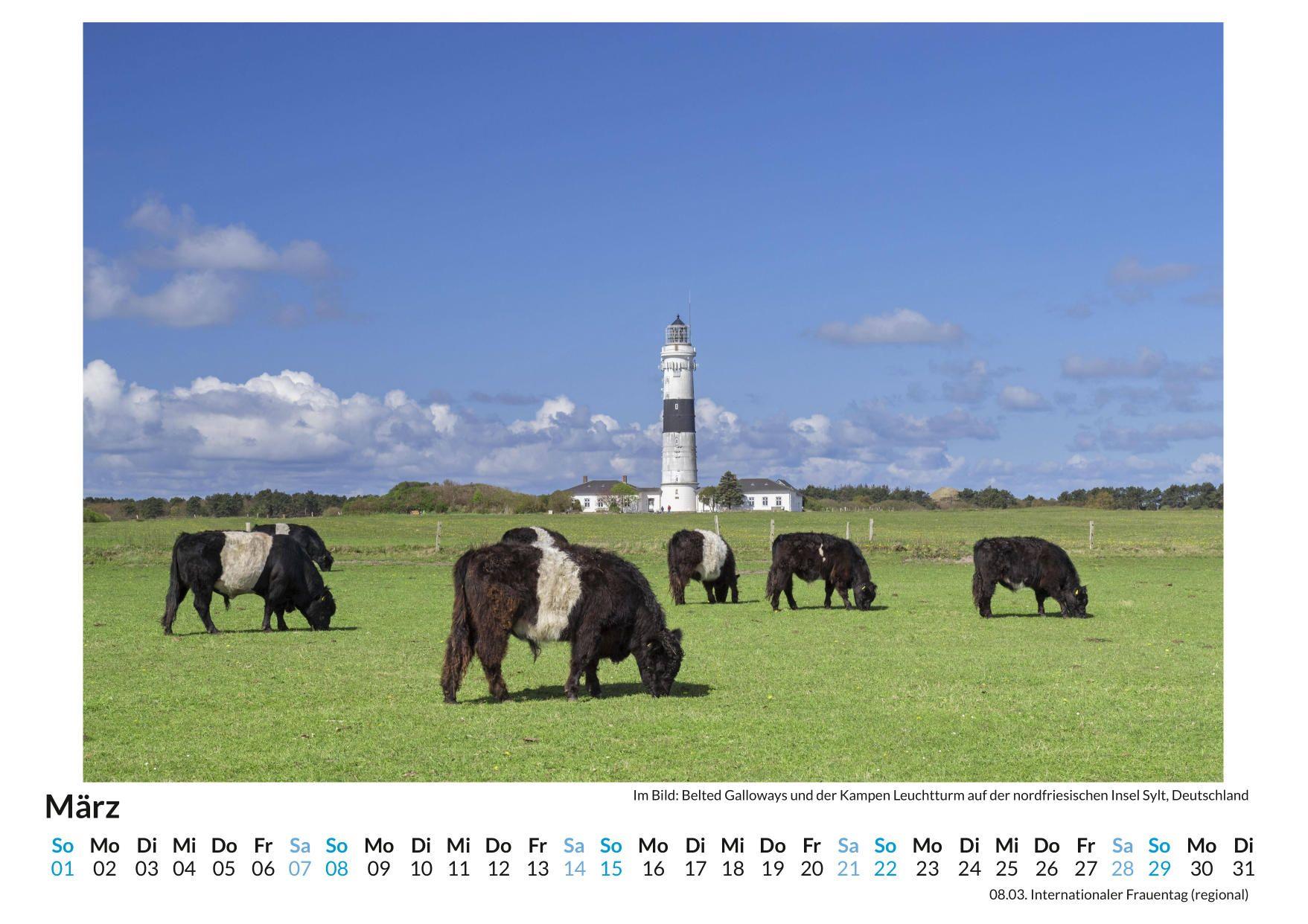 Beispielinhalt (Bild) Sylt