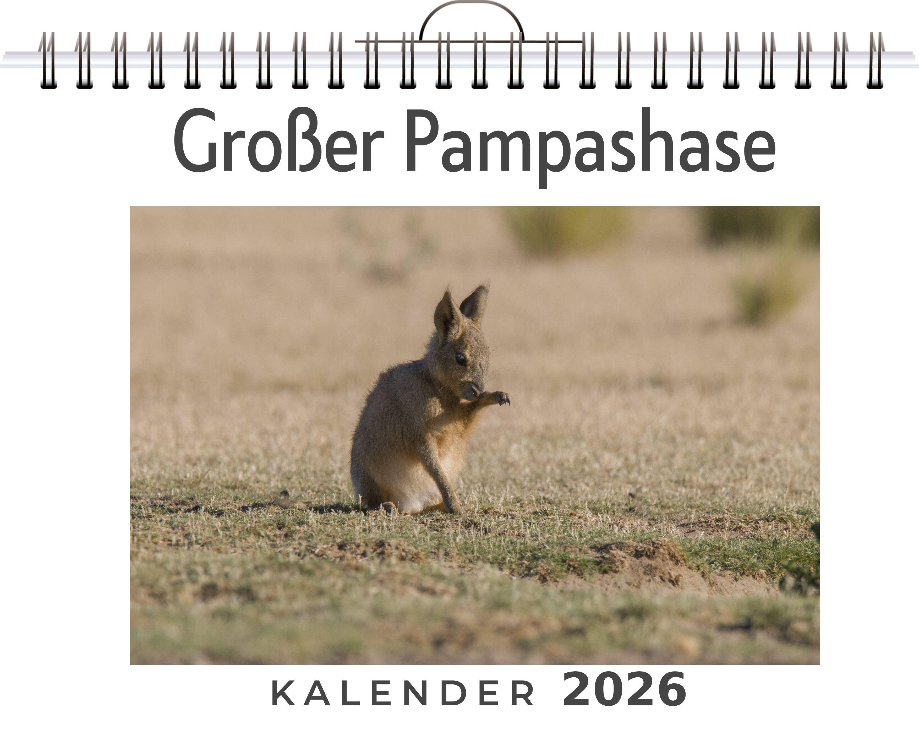 Vorderes Coverbild Großer Pampashase