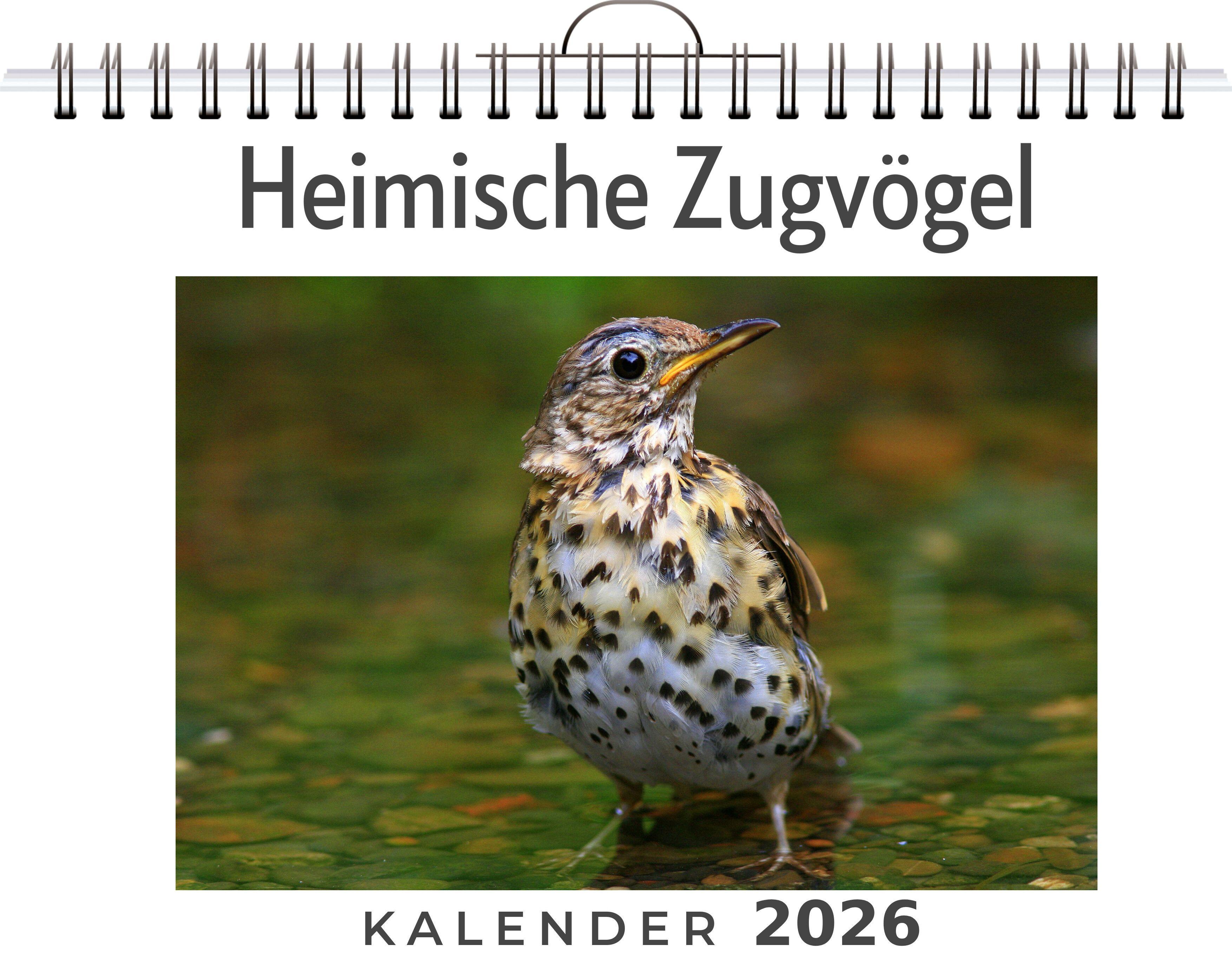 Vorderes Coverbild Heimische Zugvögel