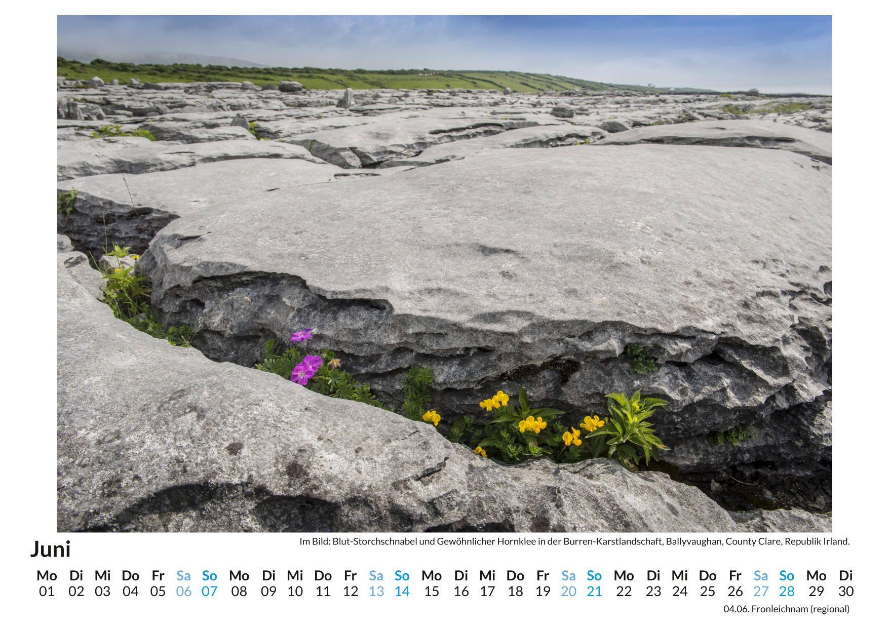 Beispielinhalt (Bild) Irland