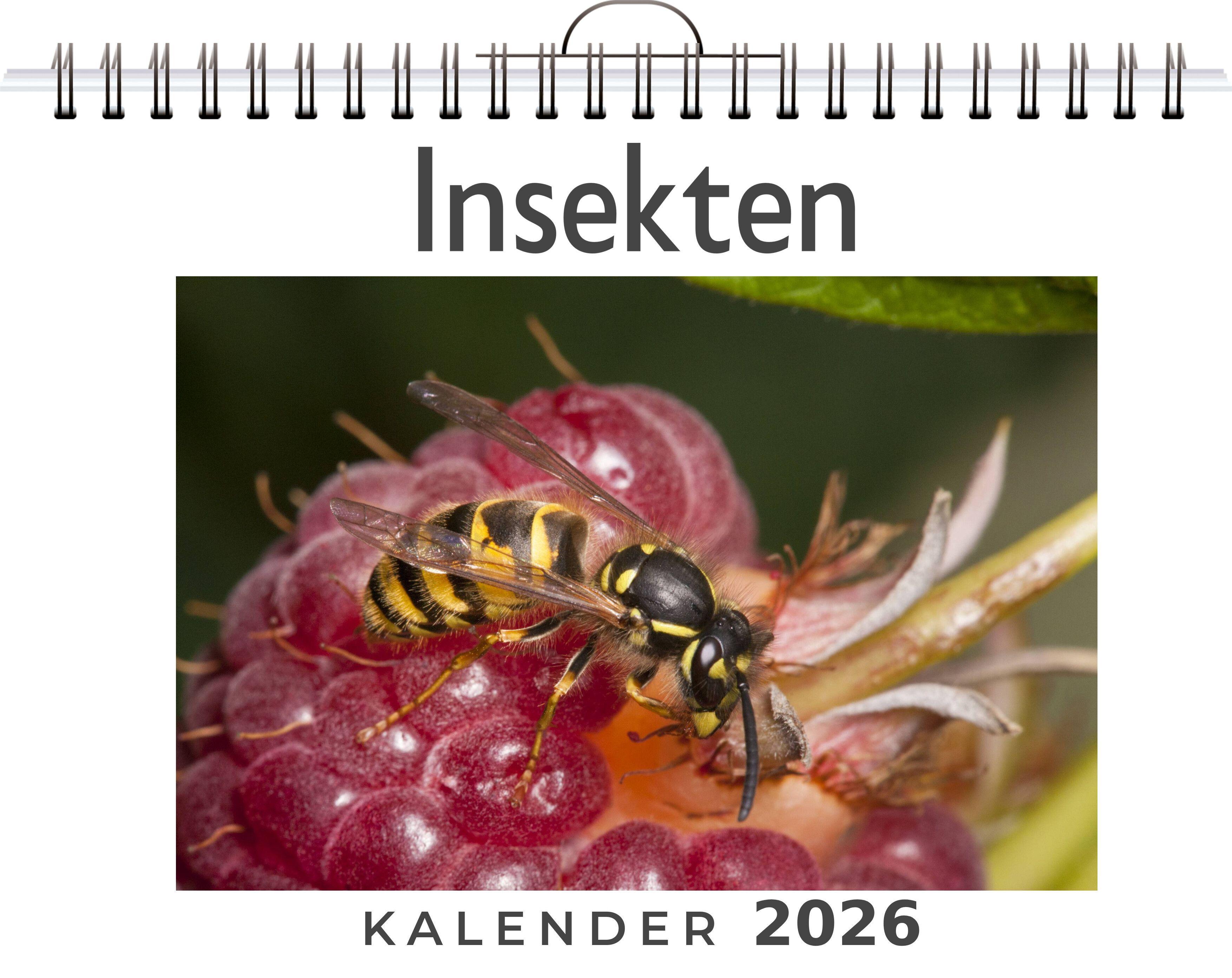 Vorderes Coverbild Insekten