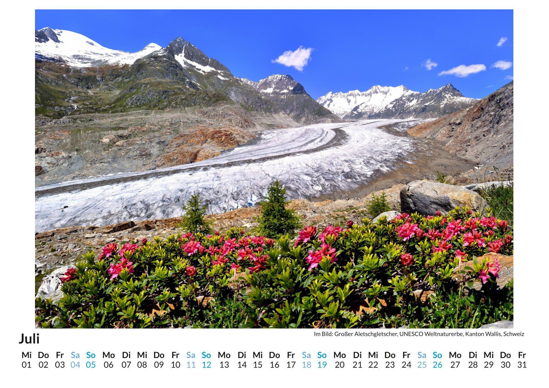 Beispielinhalt (Bild) Alpenblumen