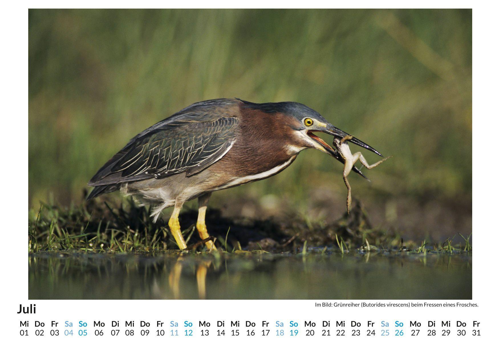 Beispielinhalt (Bild) Jäger und Gejagte