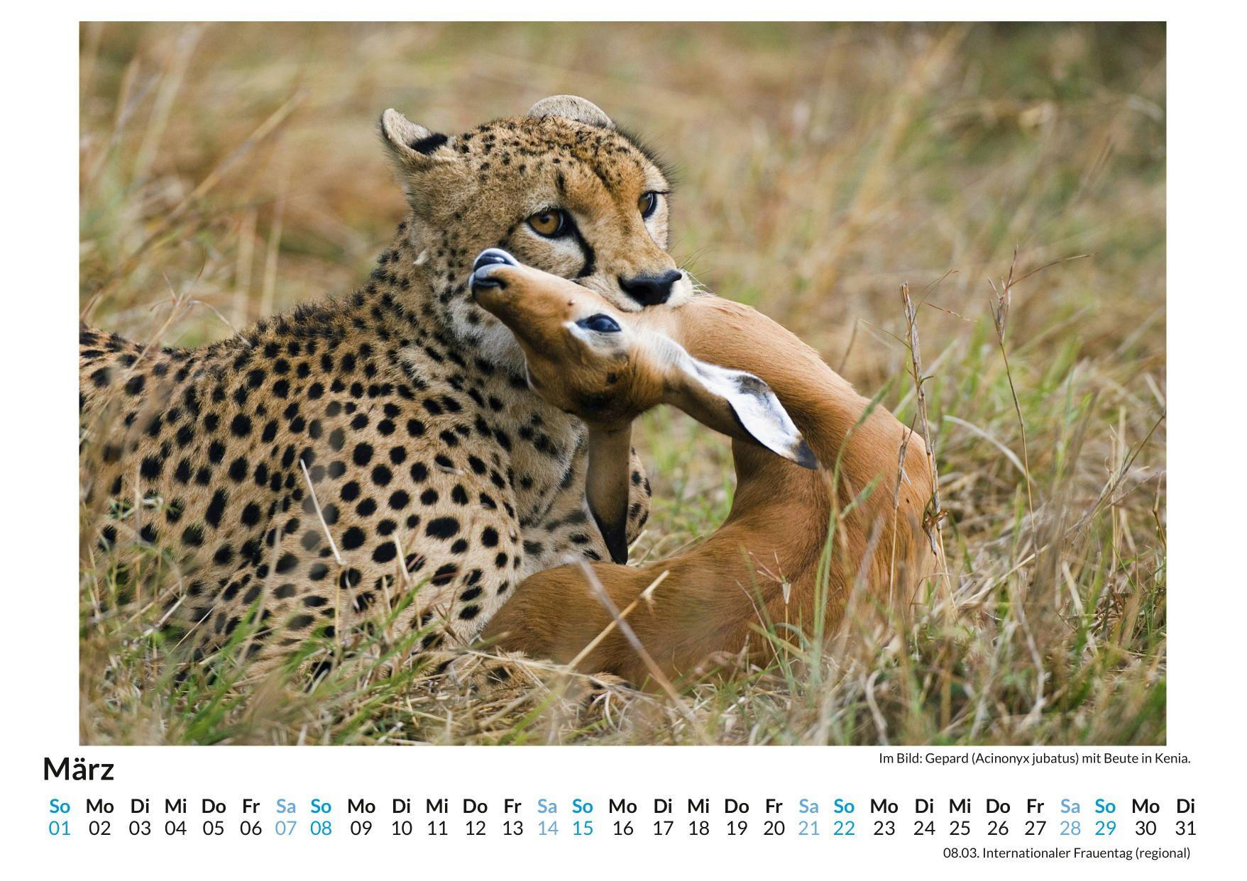 Beispielinhalt (Bild) Jäger und Gejagte