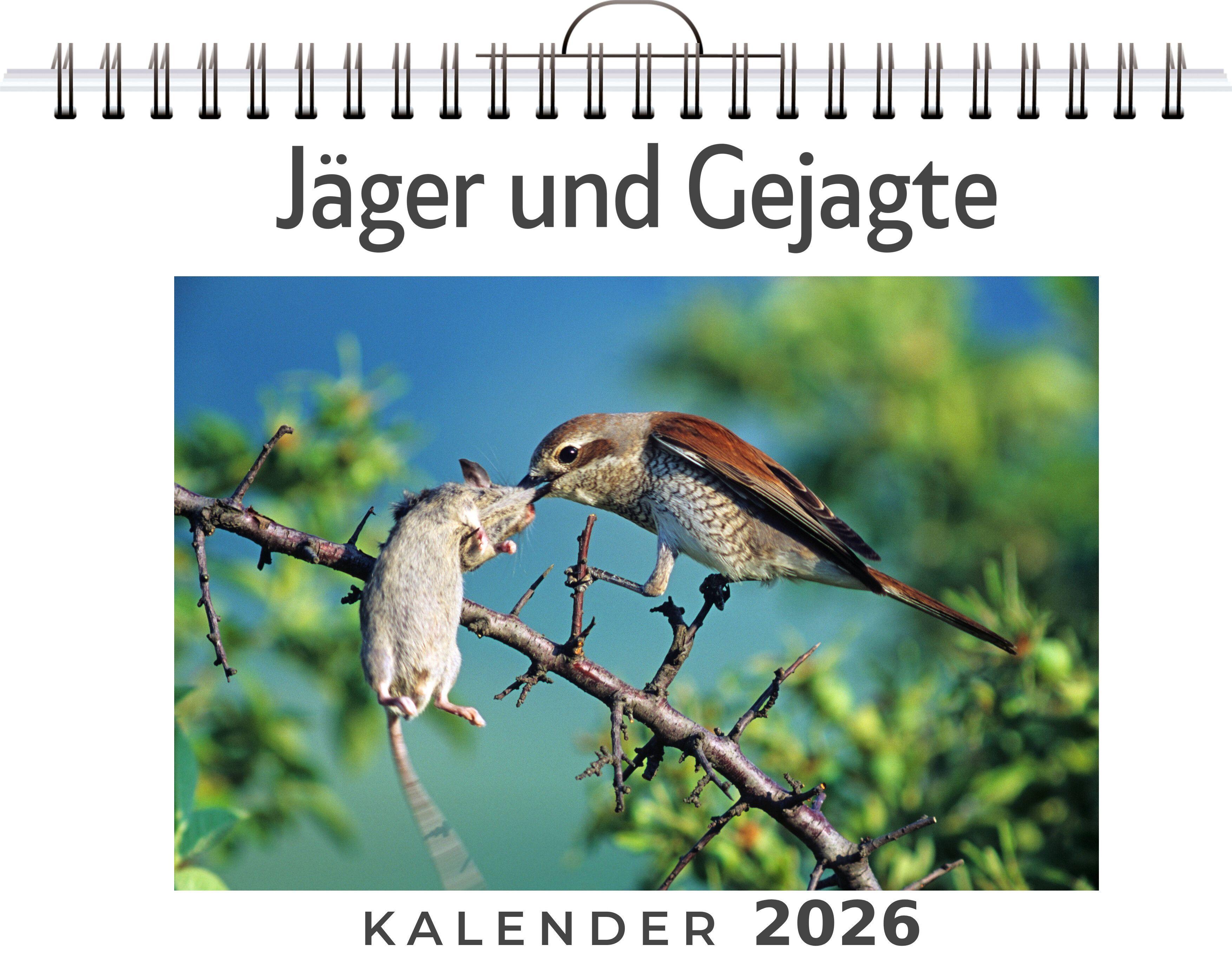 Vorderes Coverbild Jäger und Gejagte