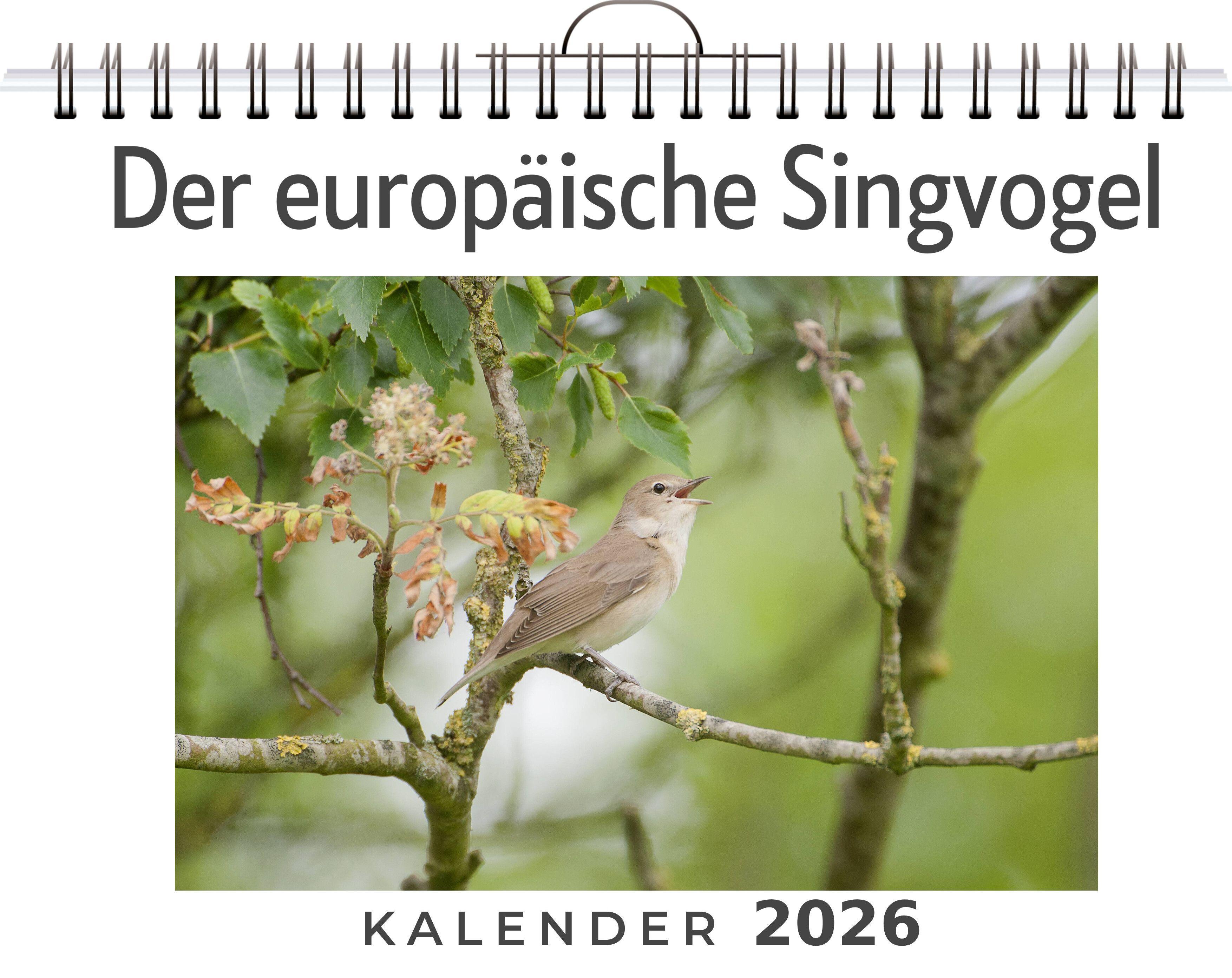 Vorderes Coverbild Der europäische Singvogel