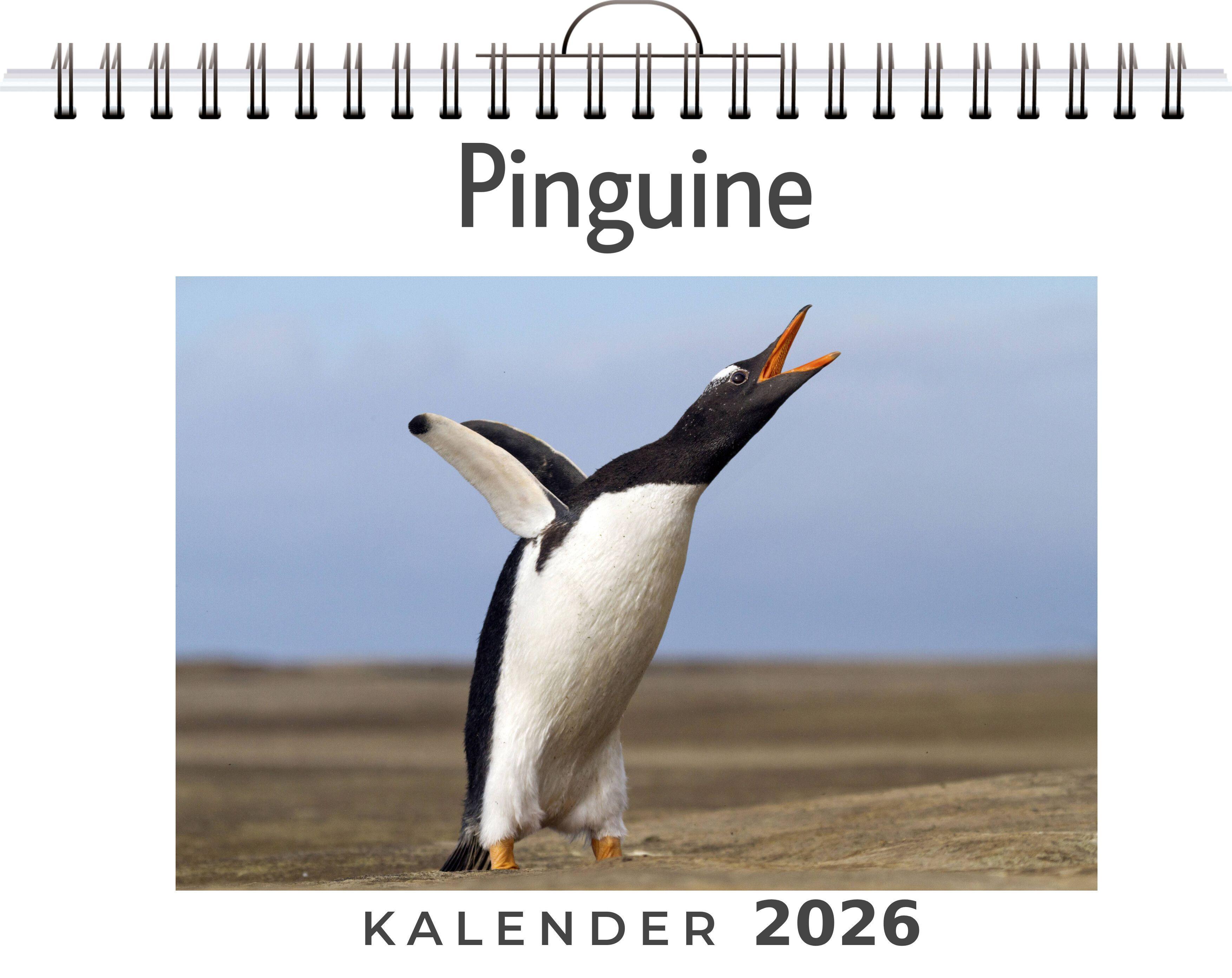 Vorderes Coverbild Pinguine