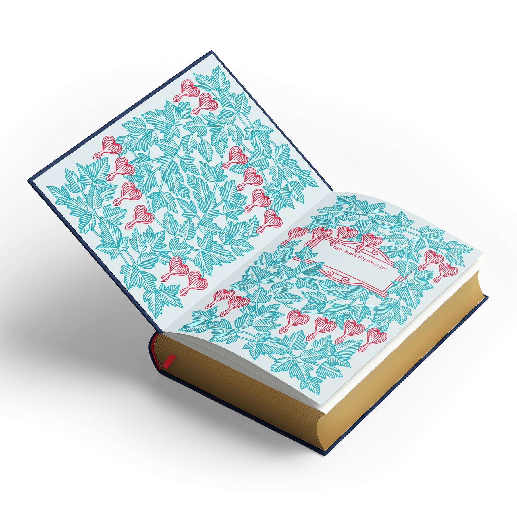 Beispielinhalt (Bild) New Moon: Deluxe Collector's Edition