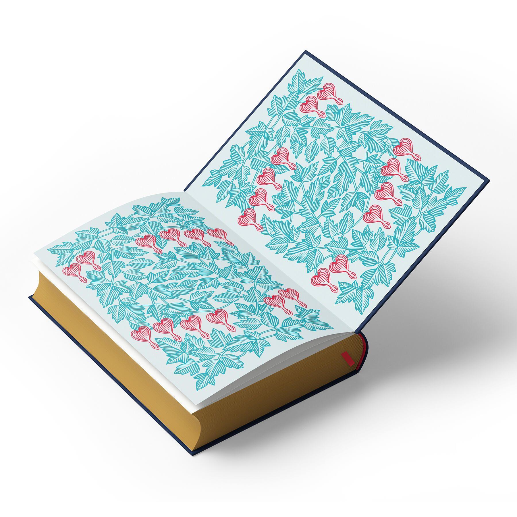 Beispielinhalt (Bild) New Moon: Deluxe Collector's Edition