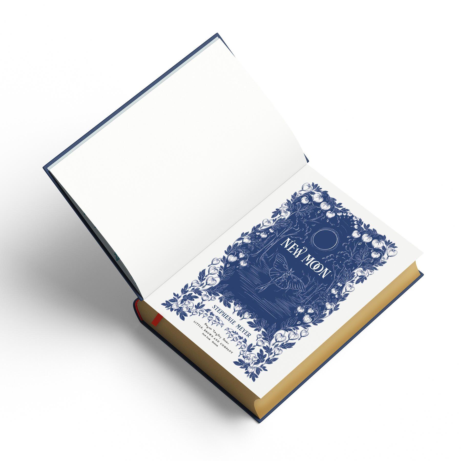 Beispielinhalt (Bild) New Moon: Deluxe Collector's Edition