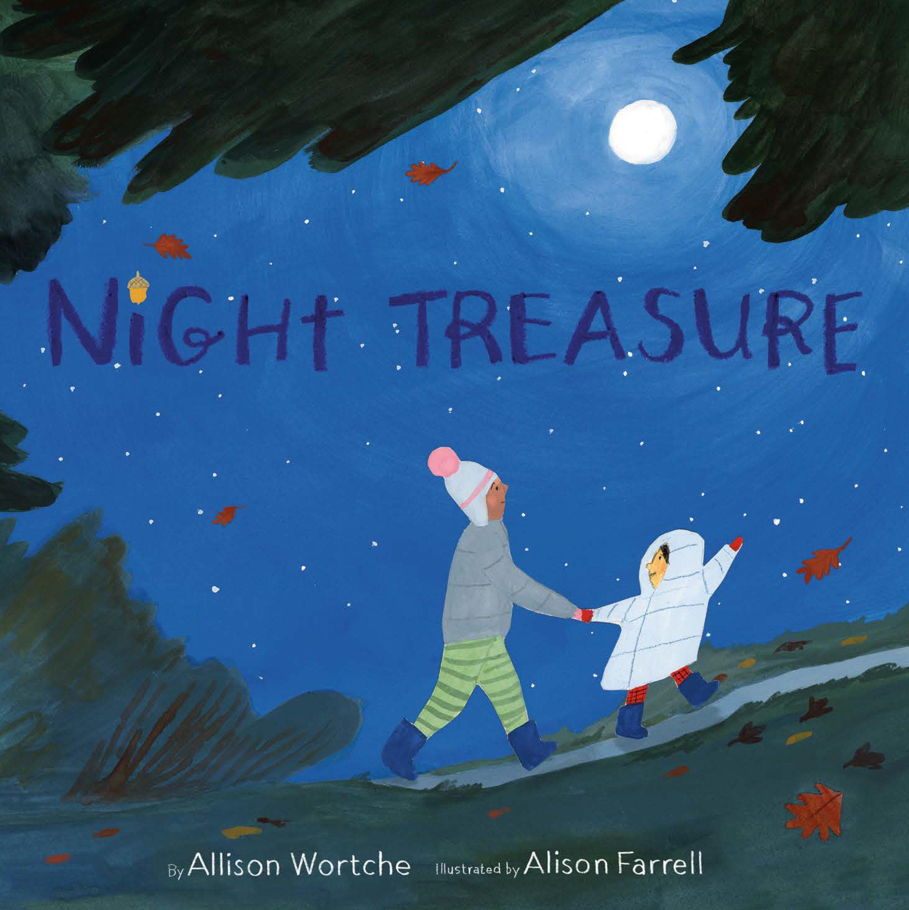 Vorderes Coverbild Night Treasure