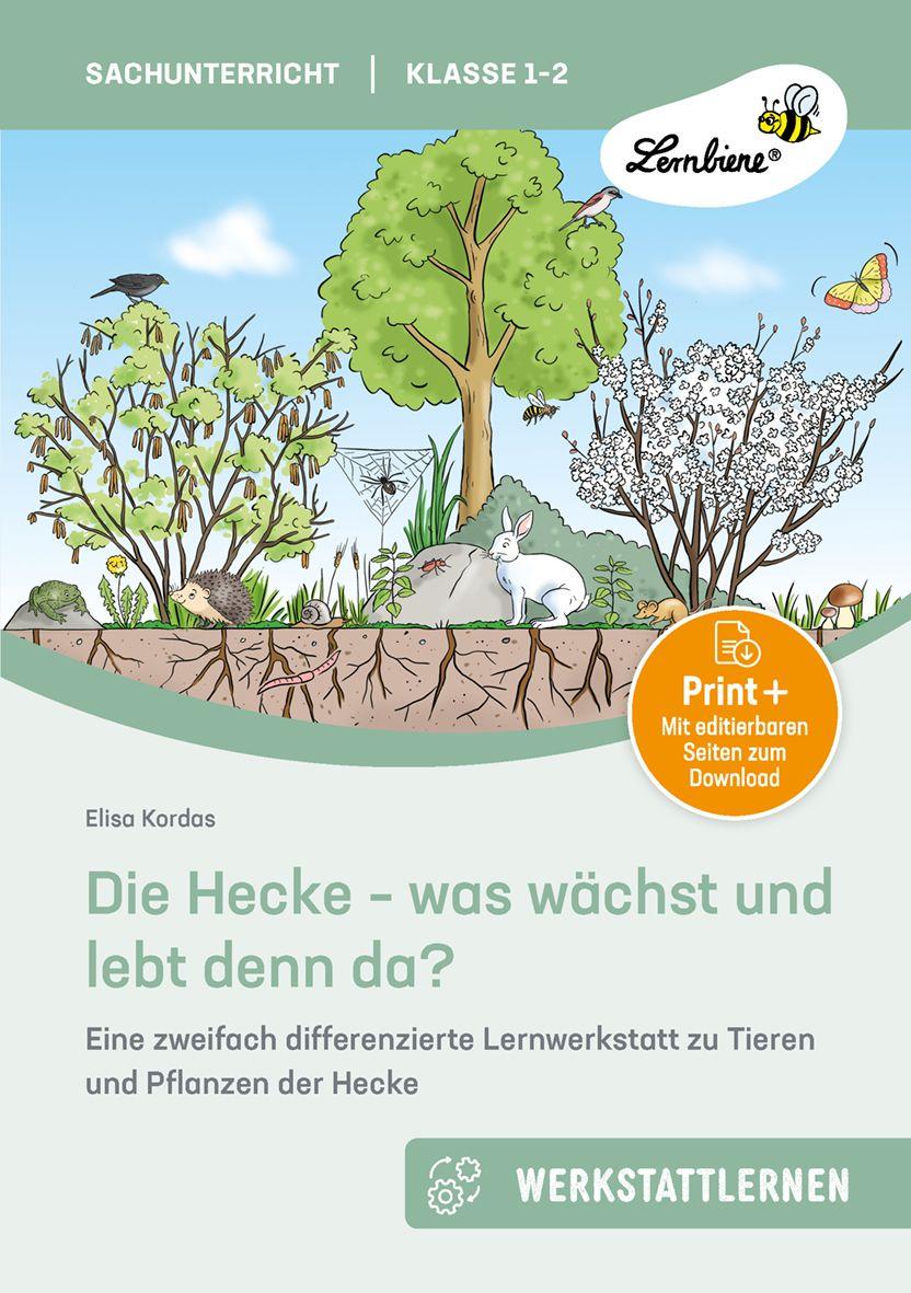 Vorderes Coverbild Die Hecke - was wächst und lebt denn da