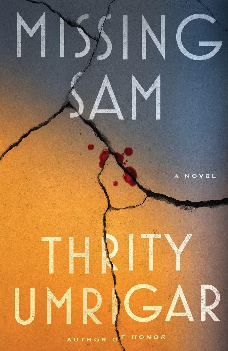 Vorderes Coverbild Missing Sam