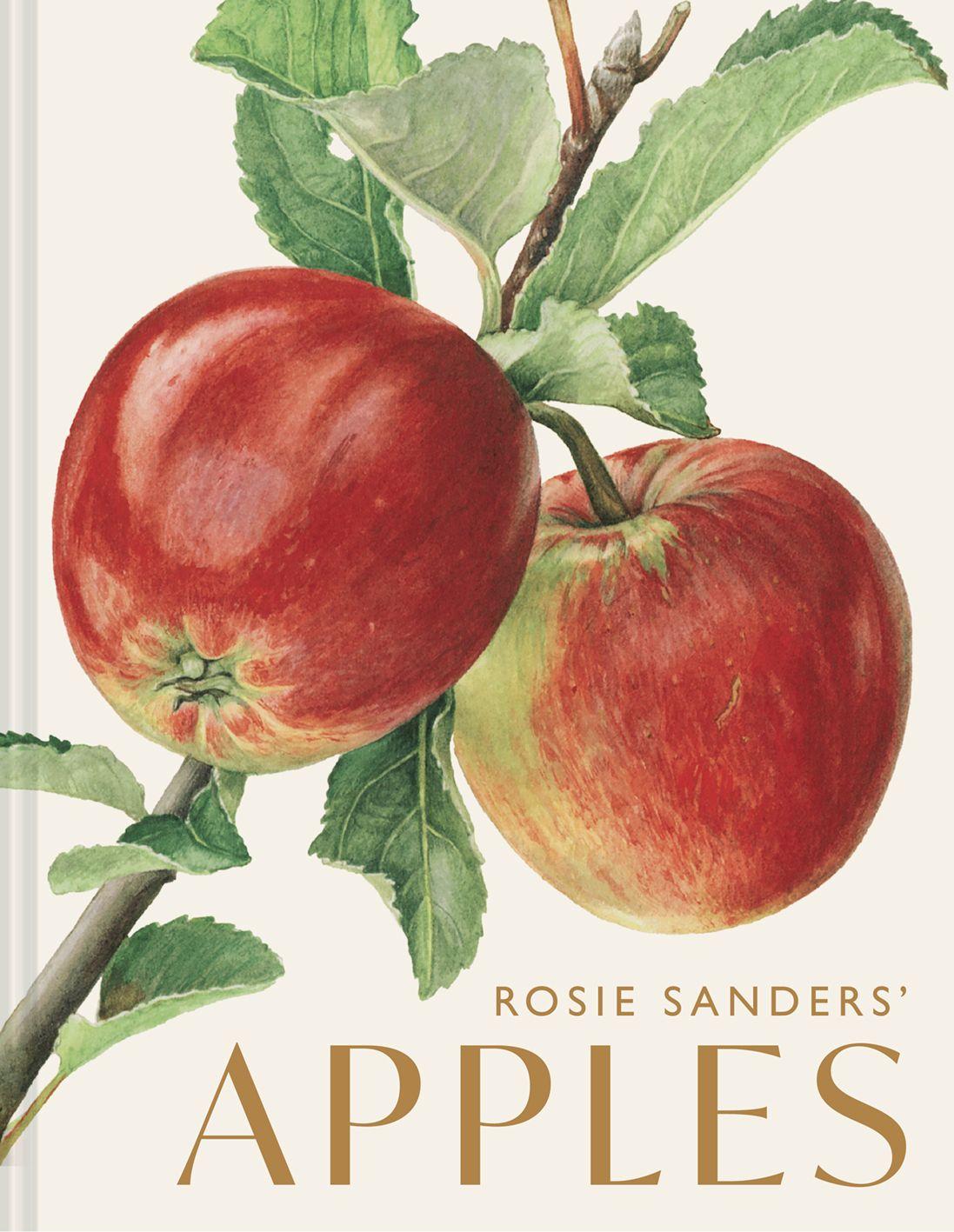 Vorderes Coverbild Rosie Sanders' Apples