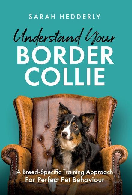 Vorderes Coverbild Understand Your Border Collie