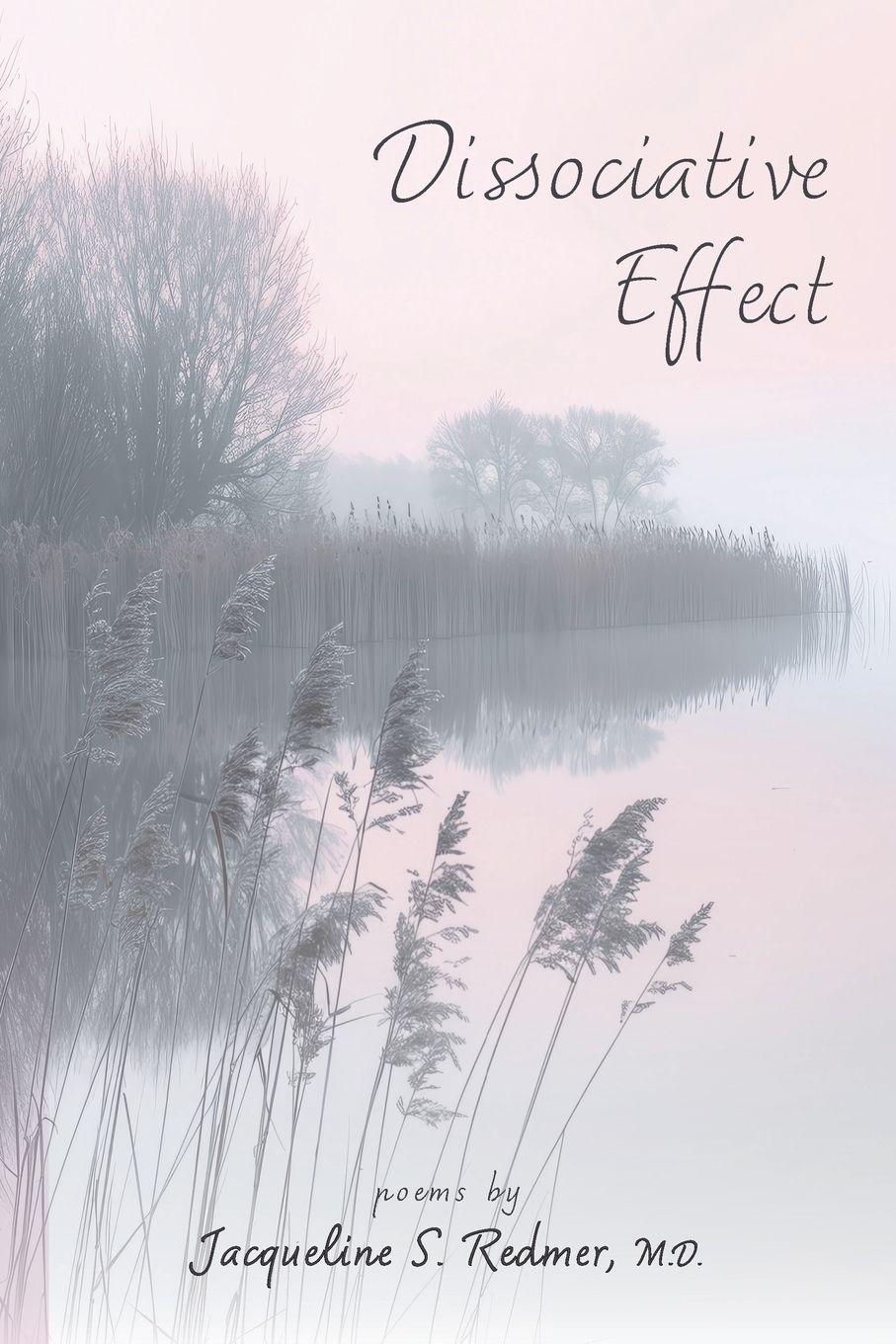 Vorderes Coverbild Dissociative  Effect
