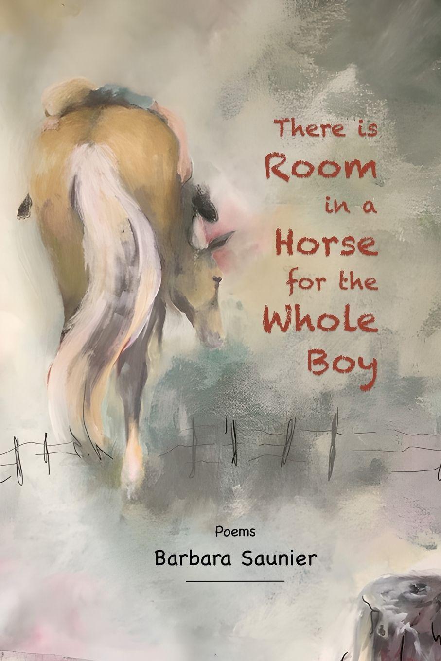 Vorderes Coverbild There is Room in a Horse for the Whole Boy