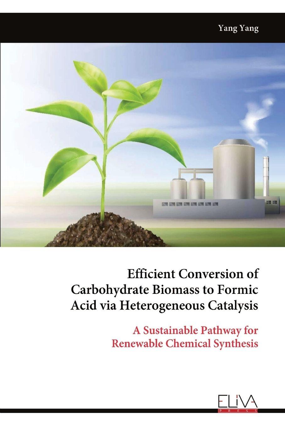Vorderes Coverbild Efficient Conversion of Carbohydrate Biomass to Formic Acid via Heterogeneous Catalysis