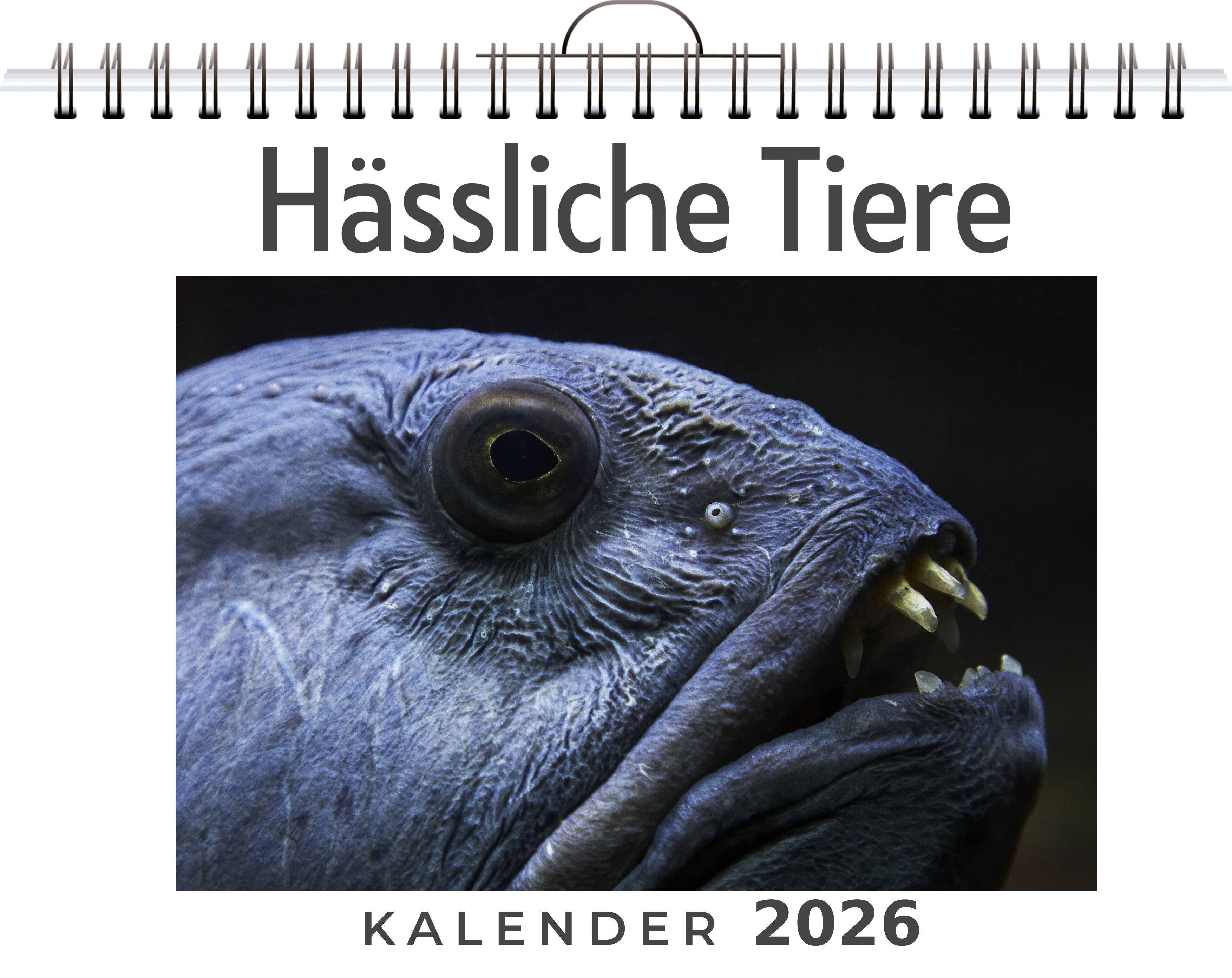 Vorderes Coverbild Hässliche Tiere