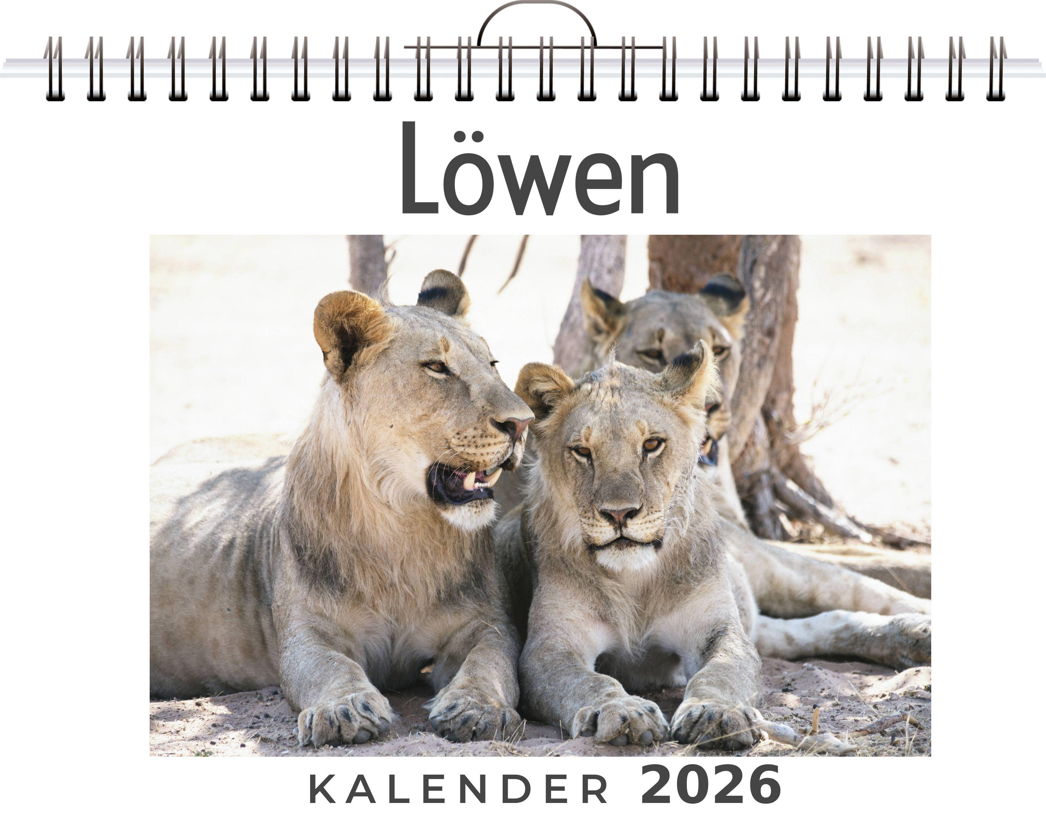 Vorderes Coverbild Löwen