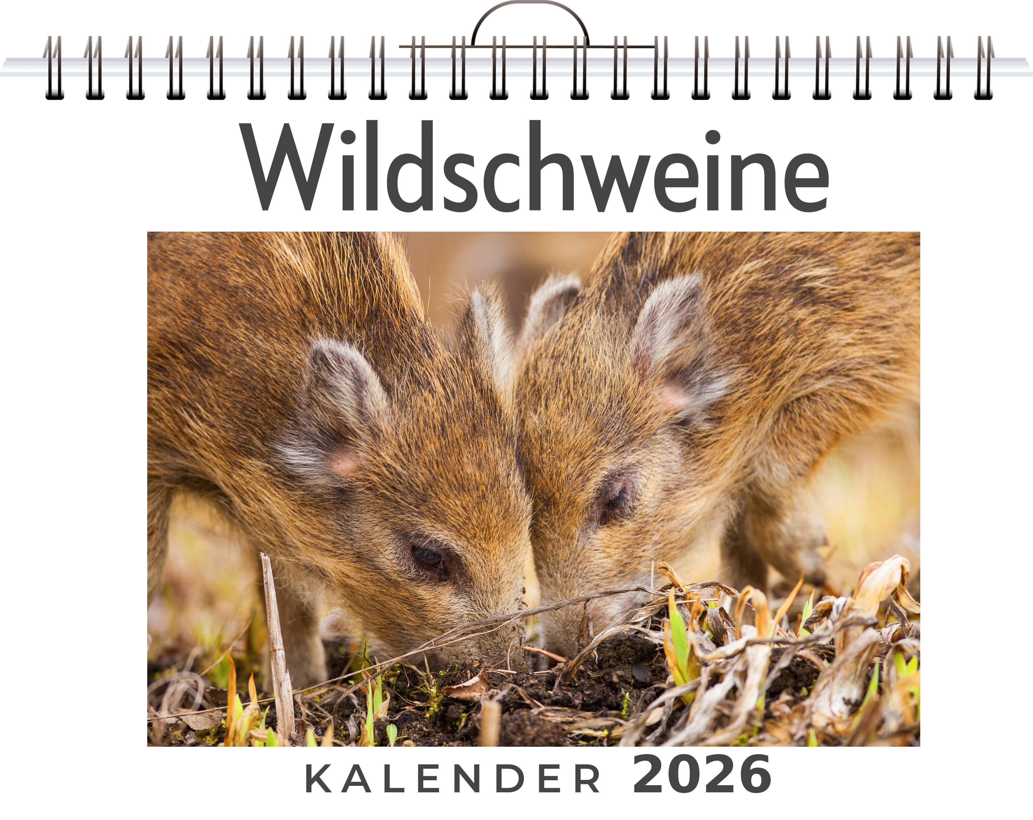 Vorderes Coverbild Wildschweine
