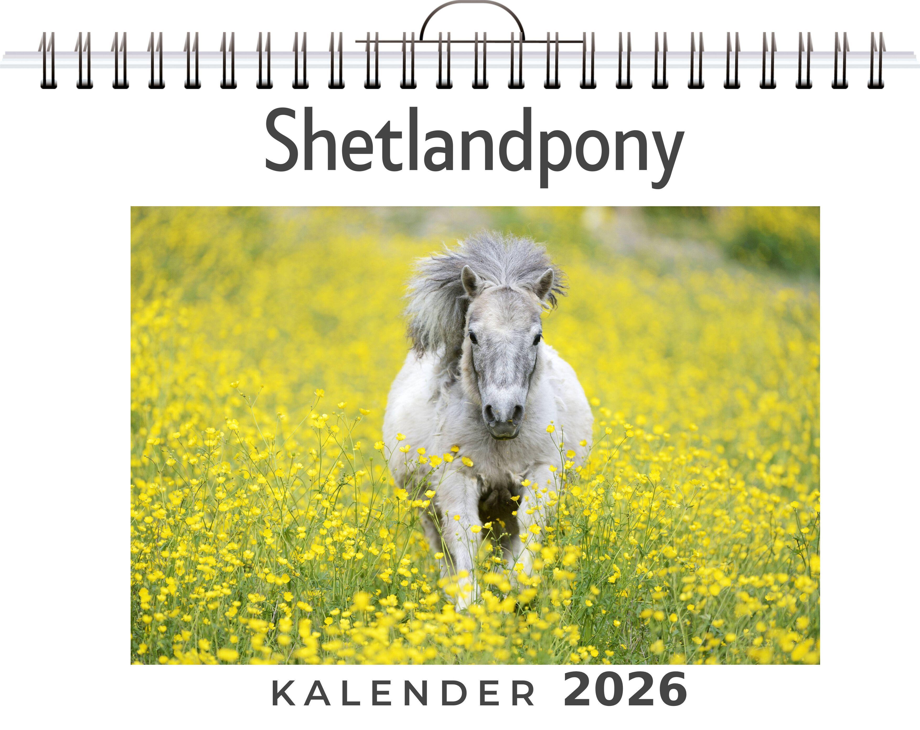 Vorderes Coverbild Shetlandpony