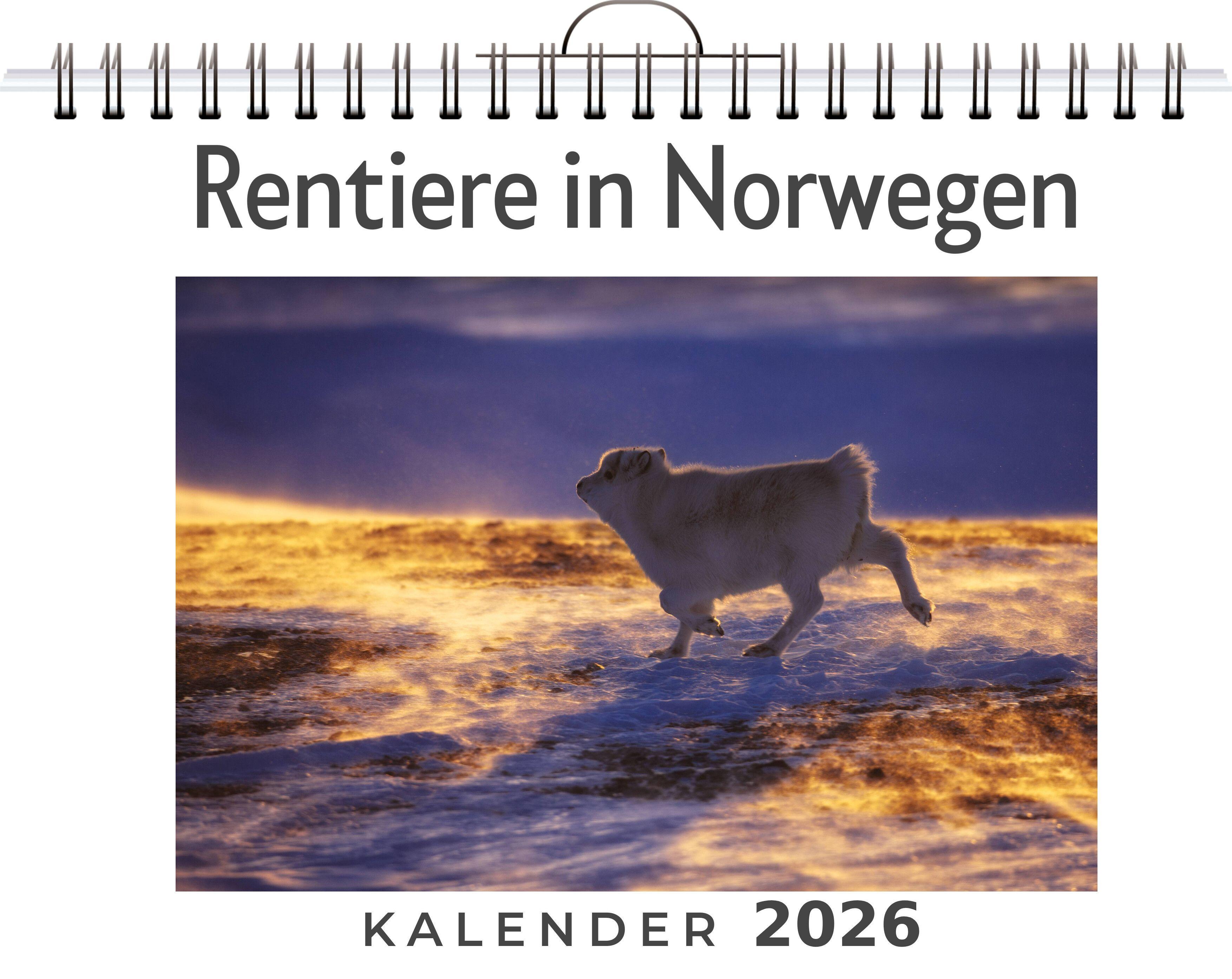 Vorderes Coverbild Rentiere in Norwegen