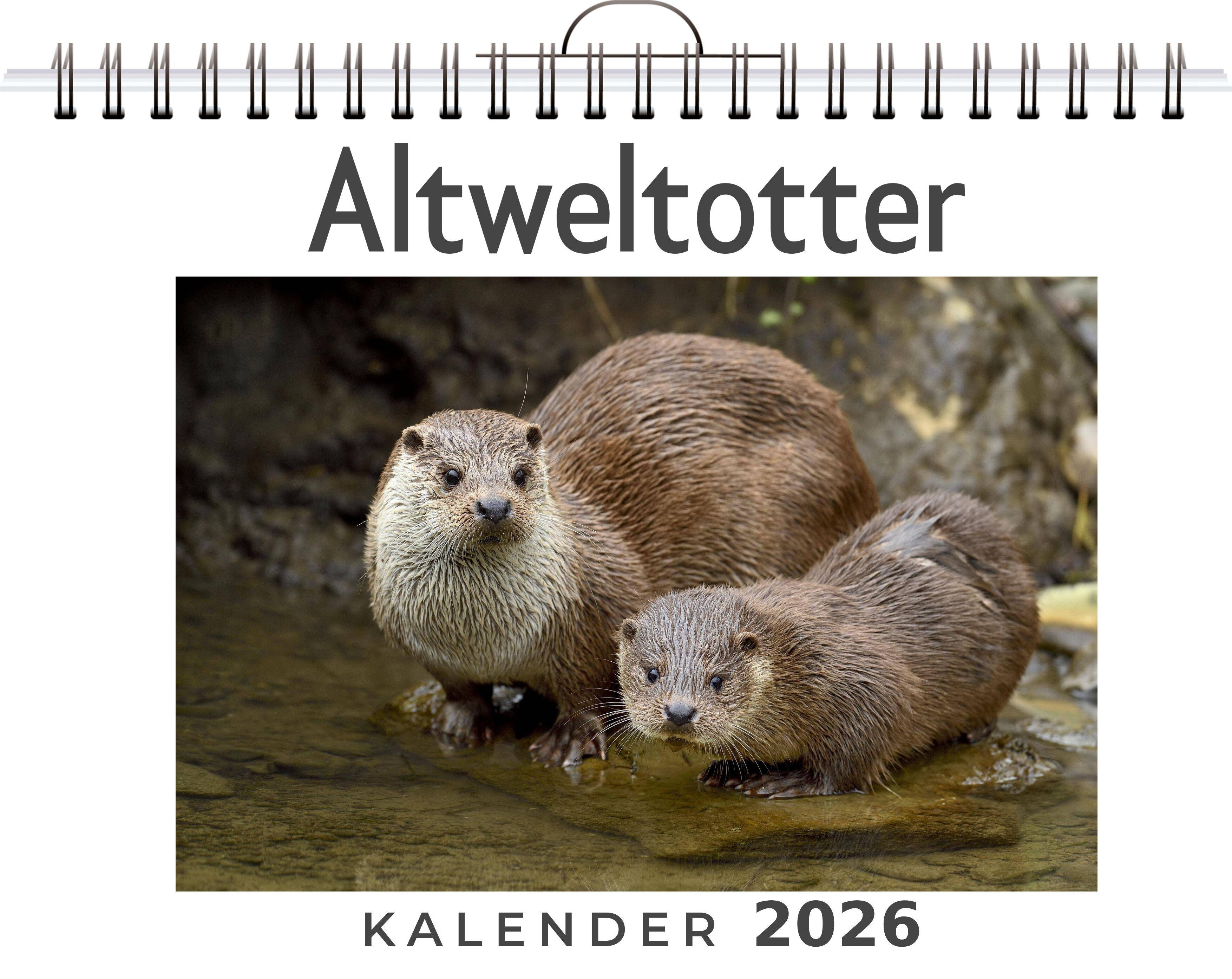 Vorderes Coverbild Altweltotter