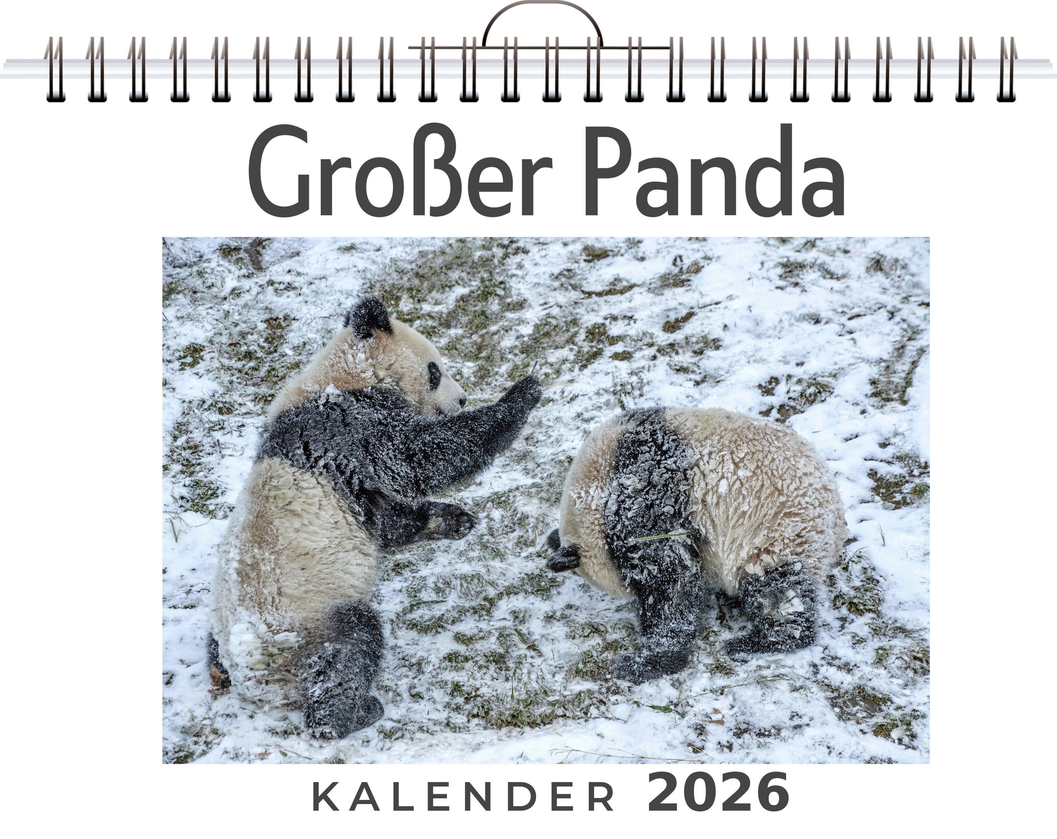 Vorderes Coverbild Großer Panda