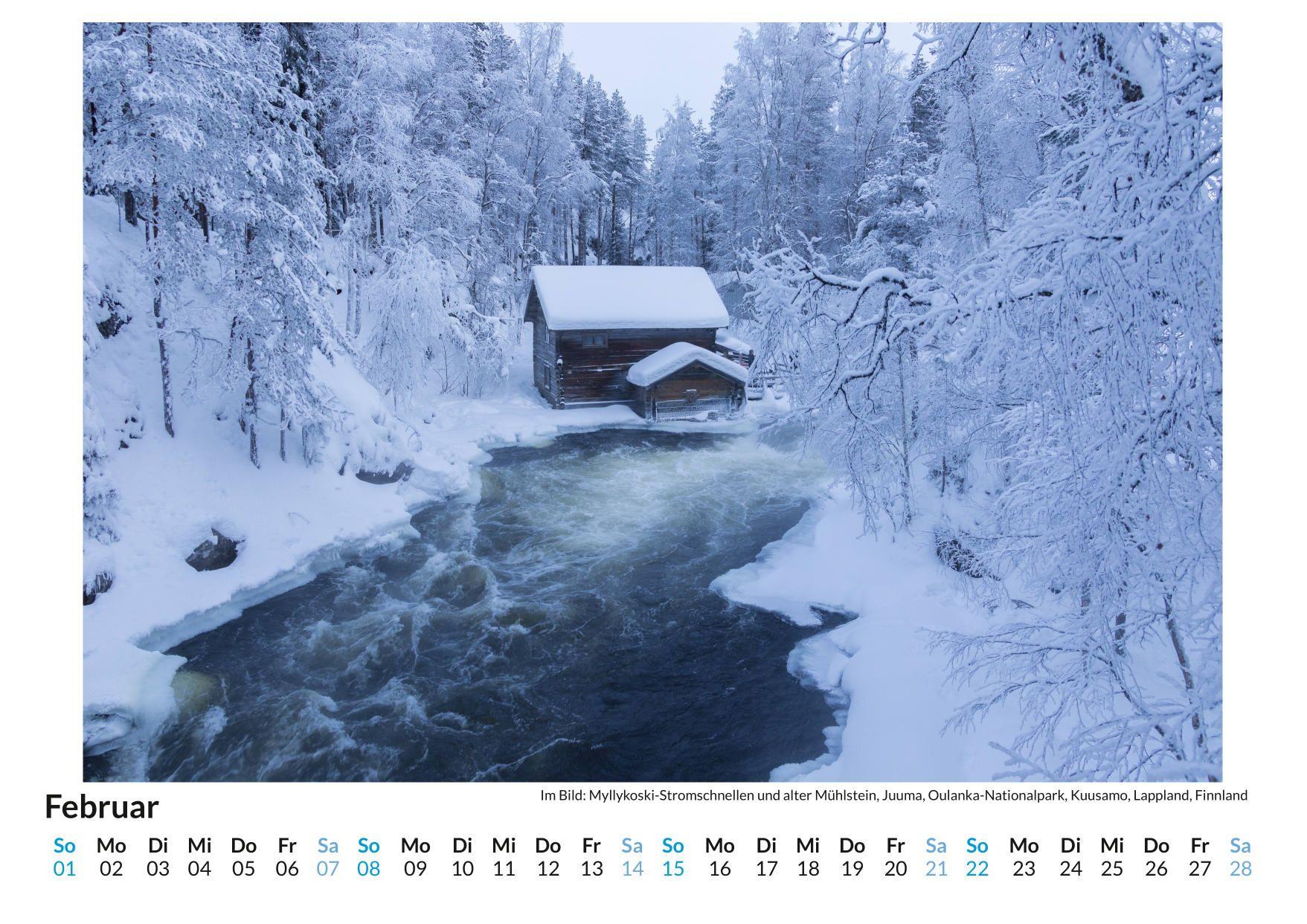 Beispielinhalt (Bild) Kraftquelle Wald
