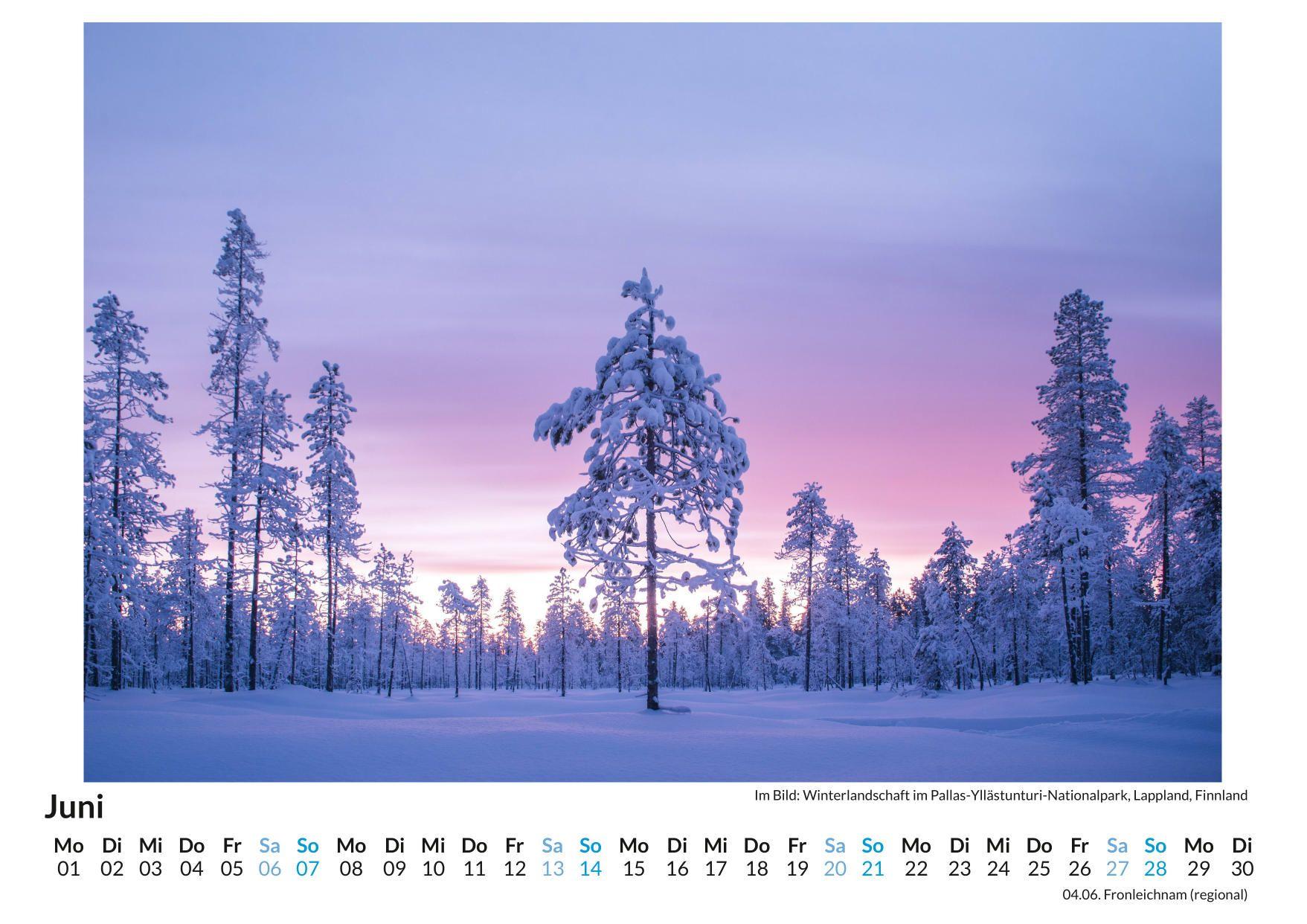 Beispielinhalt (Bild) Kraftquelle Wald