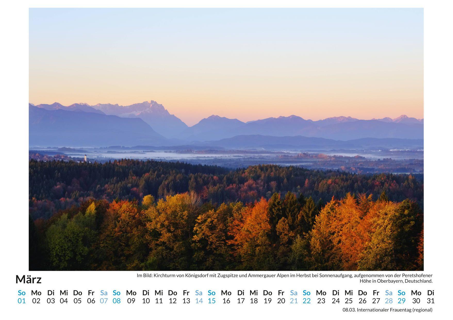Beispielinhalt (Bild) Kraftquelle Wald