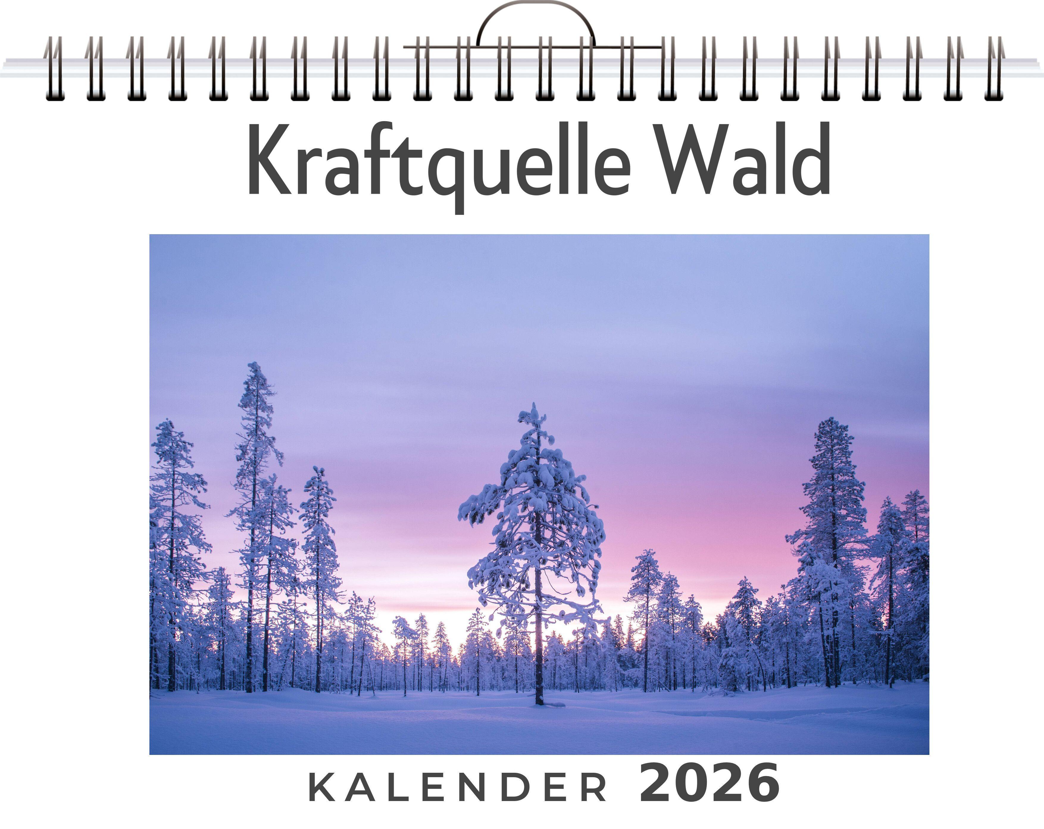 Vorderes Coverbild Kraftquelle Wald