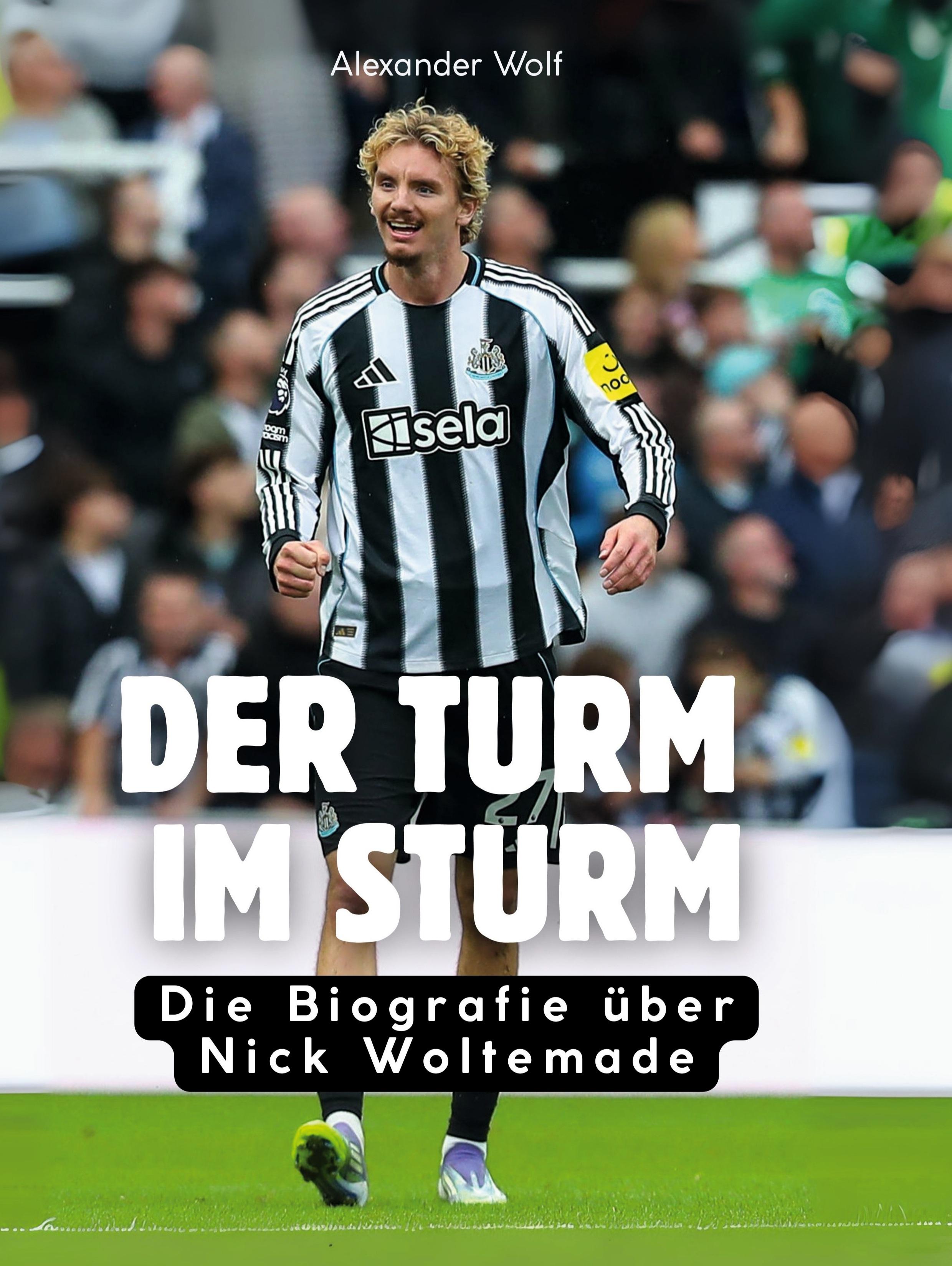 Vorderes Coverbild Der Turm im Sturm