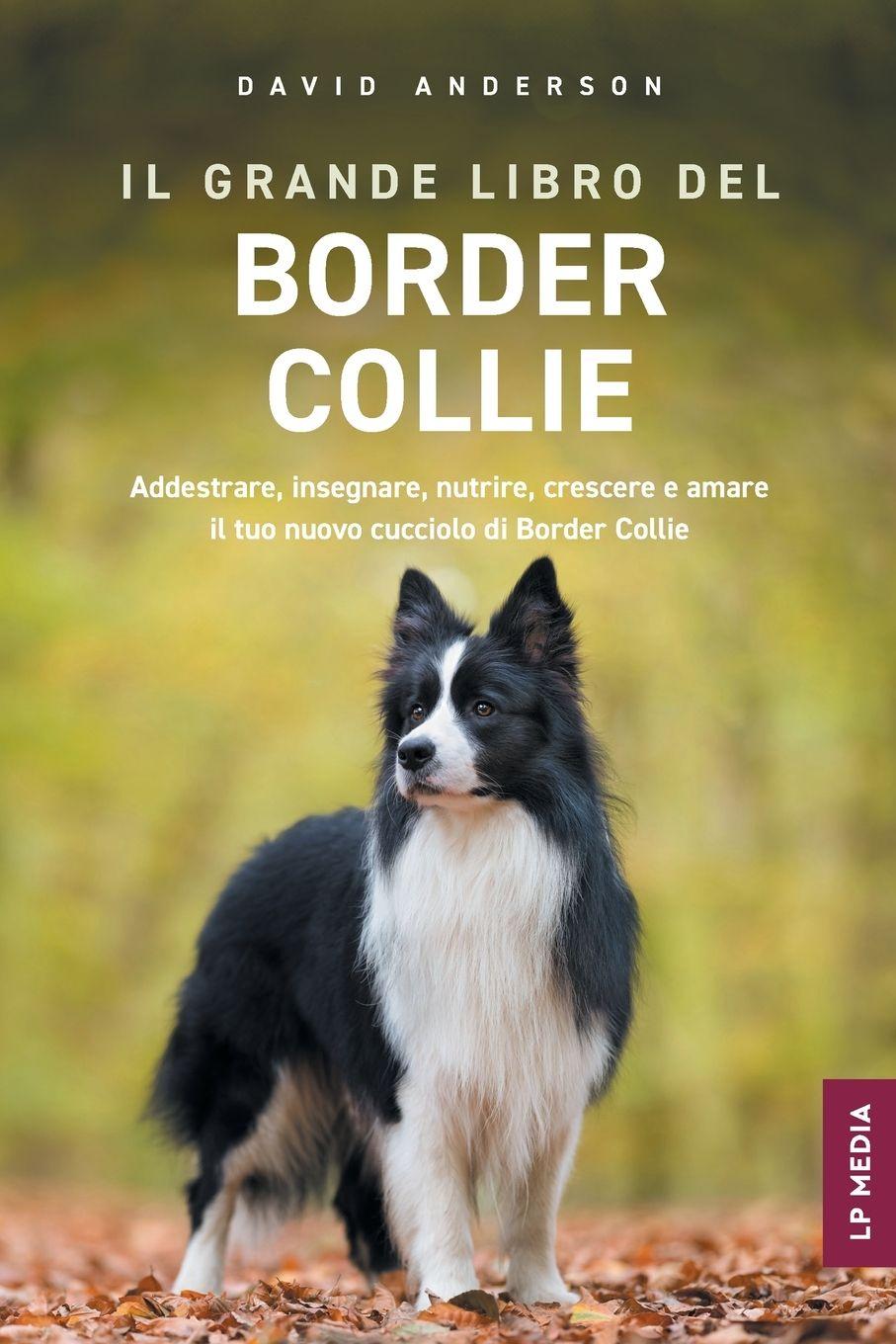 Vorderes Coverbild Il grande libro del Border Collie