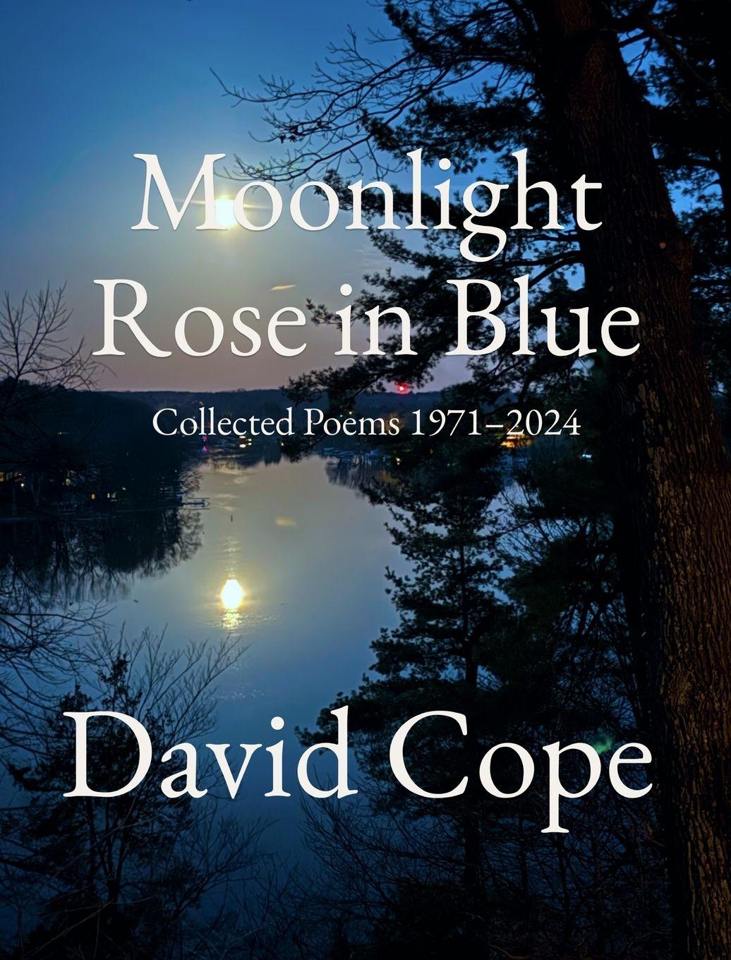 Vorderes Coverbild Moonlight Rose in Blue