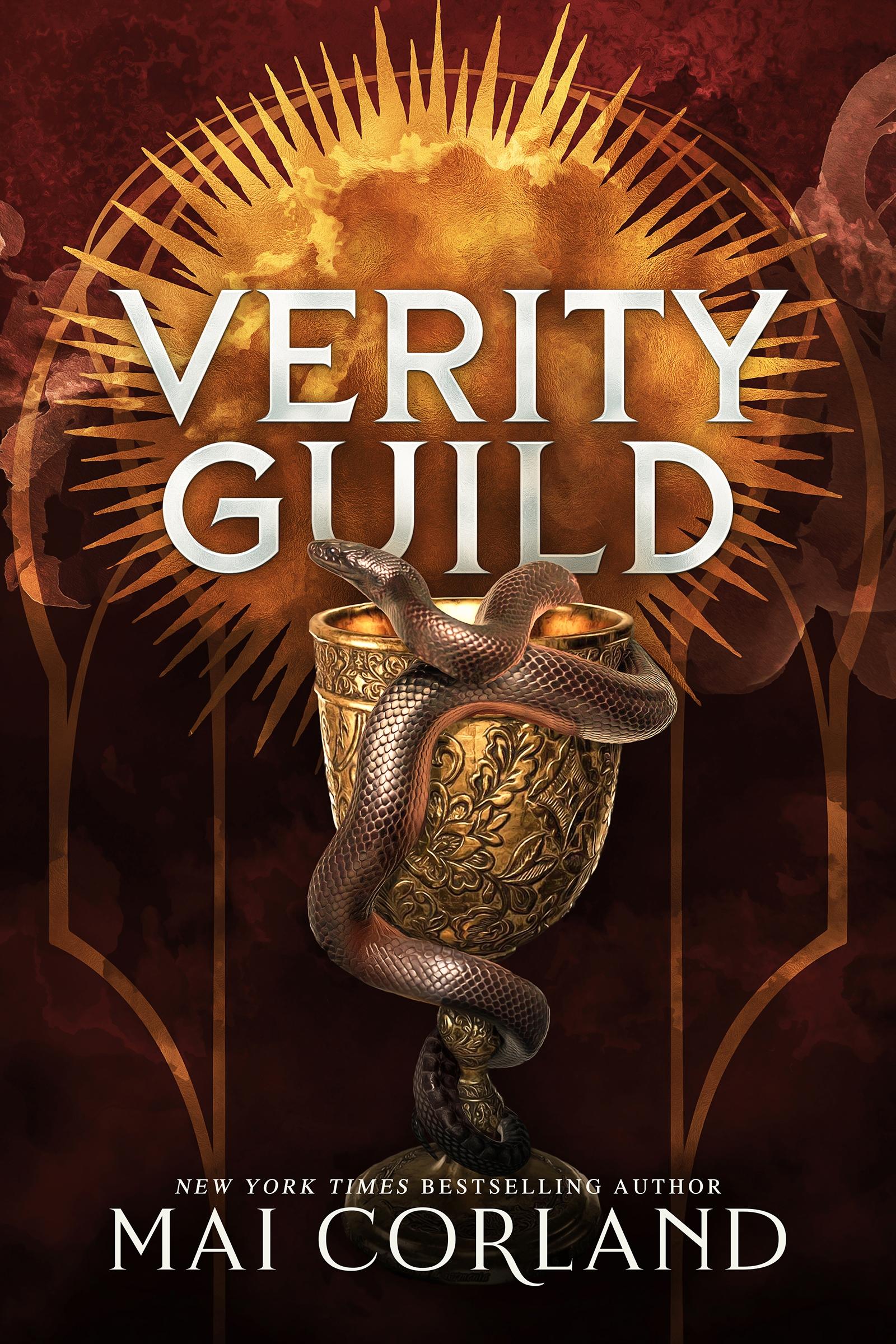 Vorderes Coverbild Verity Guild