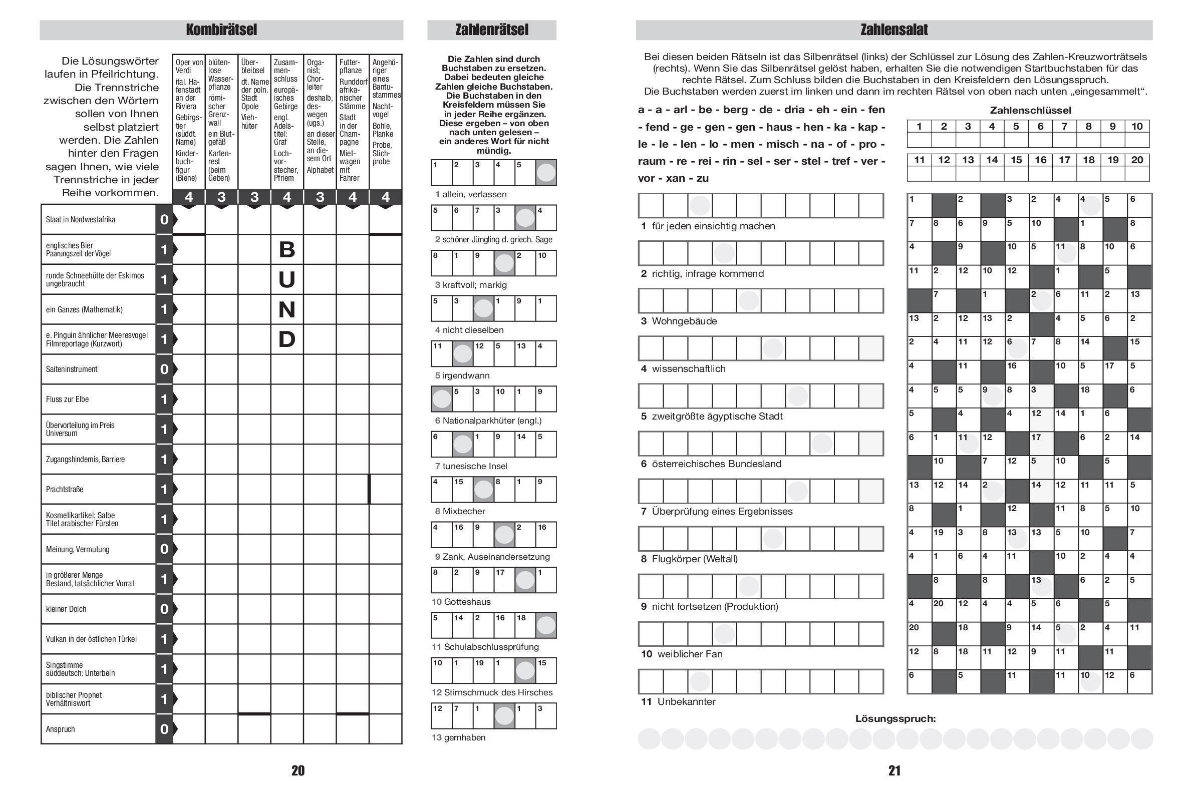 Beispielinhalt (Bild) Giga-Rätselbuch 9