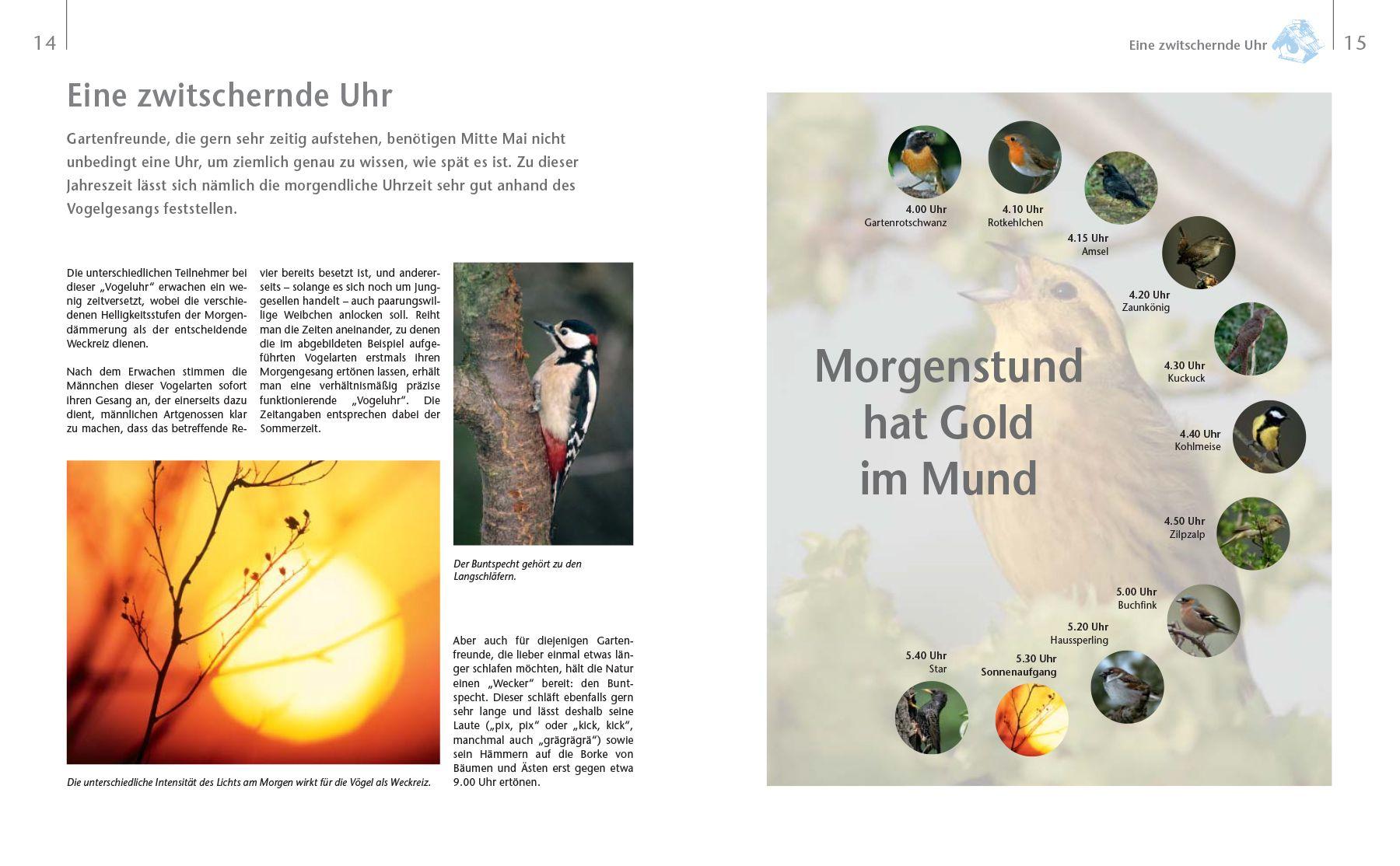 Beispielinhalt (Bild) Vögel zu Gast im Garten - Beobachten, bestimmen, schützen.