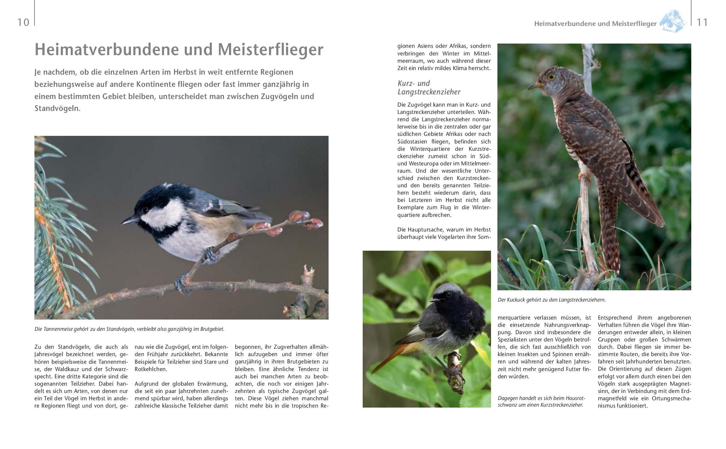 Beispielinhalt (Bild) Vögel zu Gast im Garten - Beobachten, bestimmen, schützen.