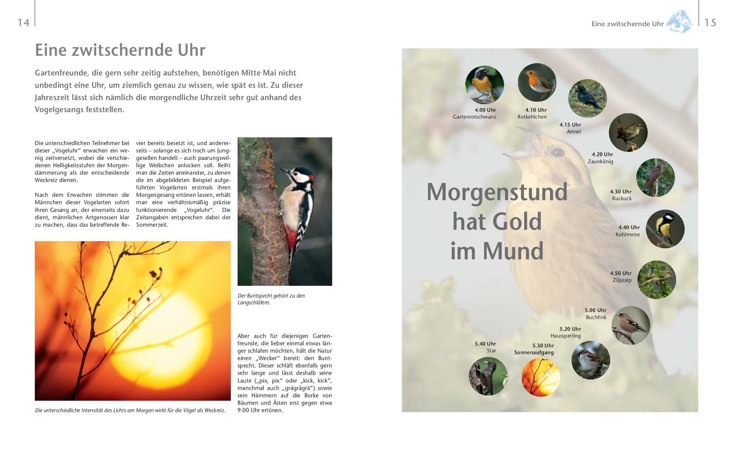 Beispielinhalt (Bild) Vögel zu Gast im Garten - Beobachten, bestimmen, schützen.