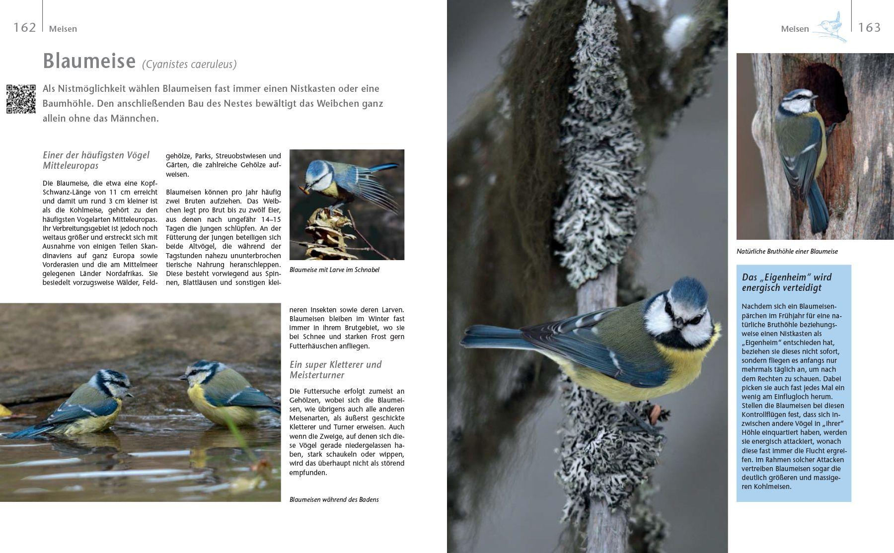 Beispielinhalt (Bild) Vögel zu Gast im Garten - Beobachten, bestimmen, schützen.