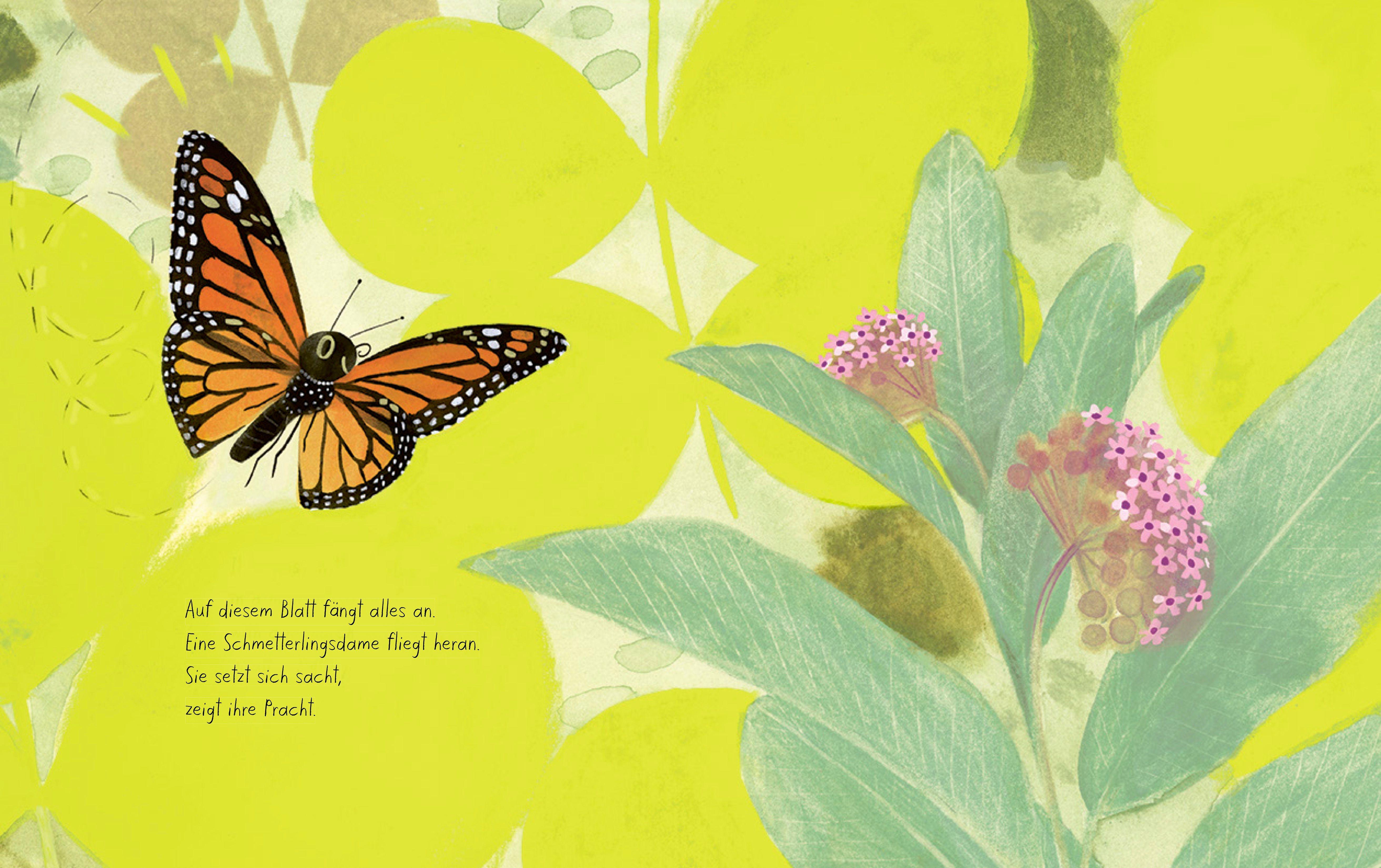 Beispielinhalt (Bild) Der Schmetterling